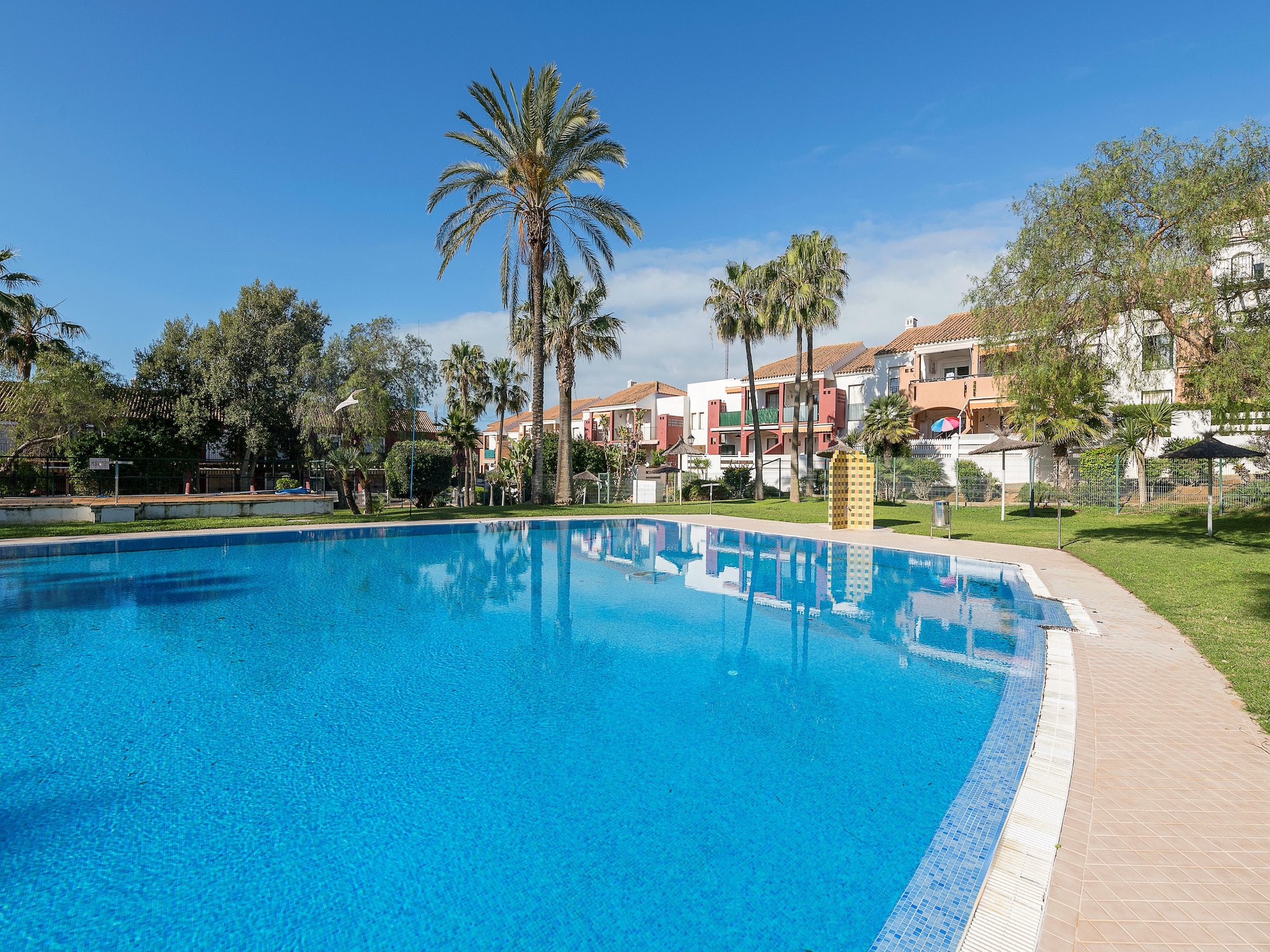   Oasis Playero