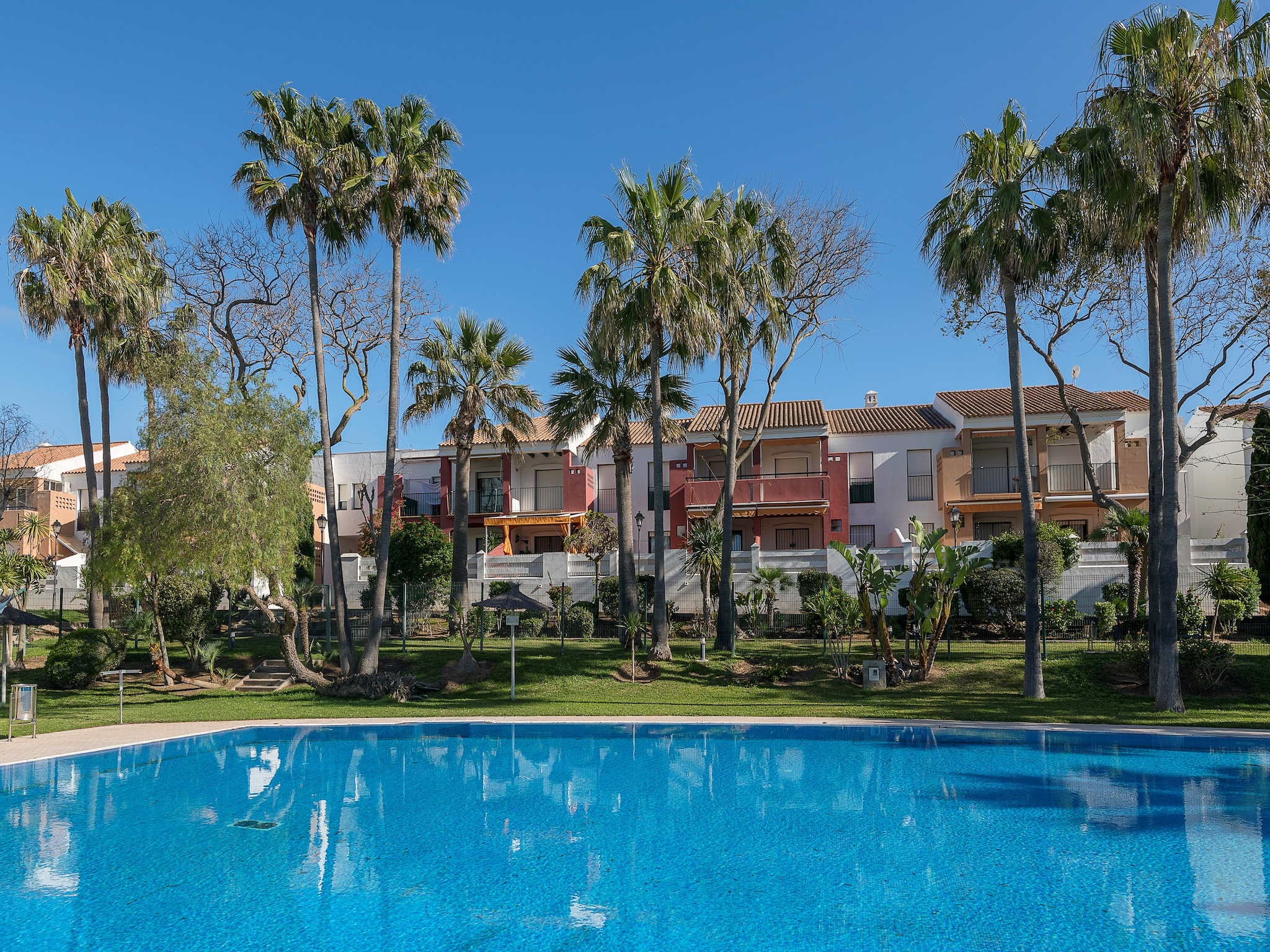   Oasis Playero