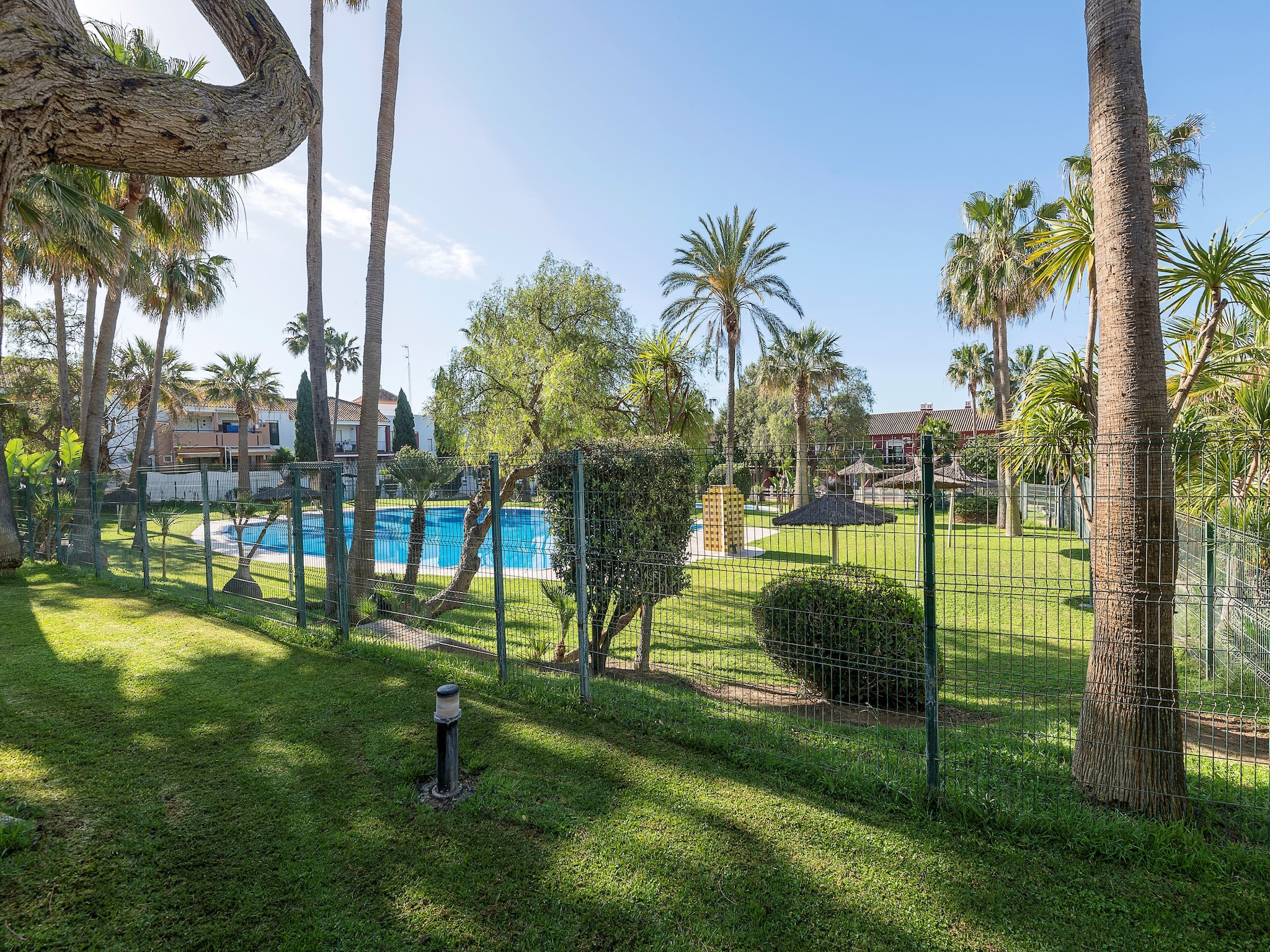   Oasis Playero
