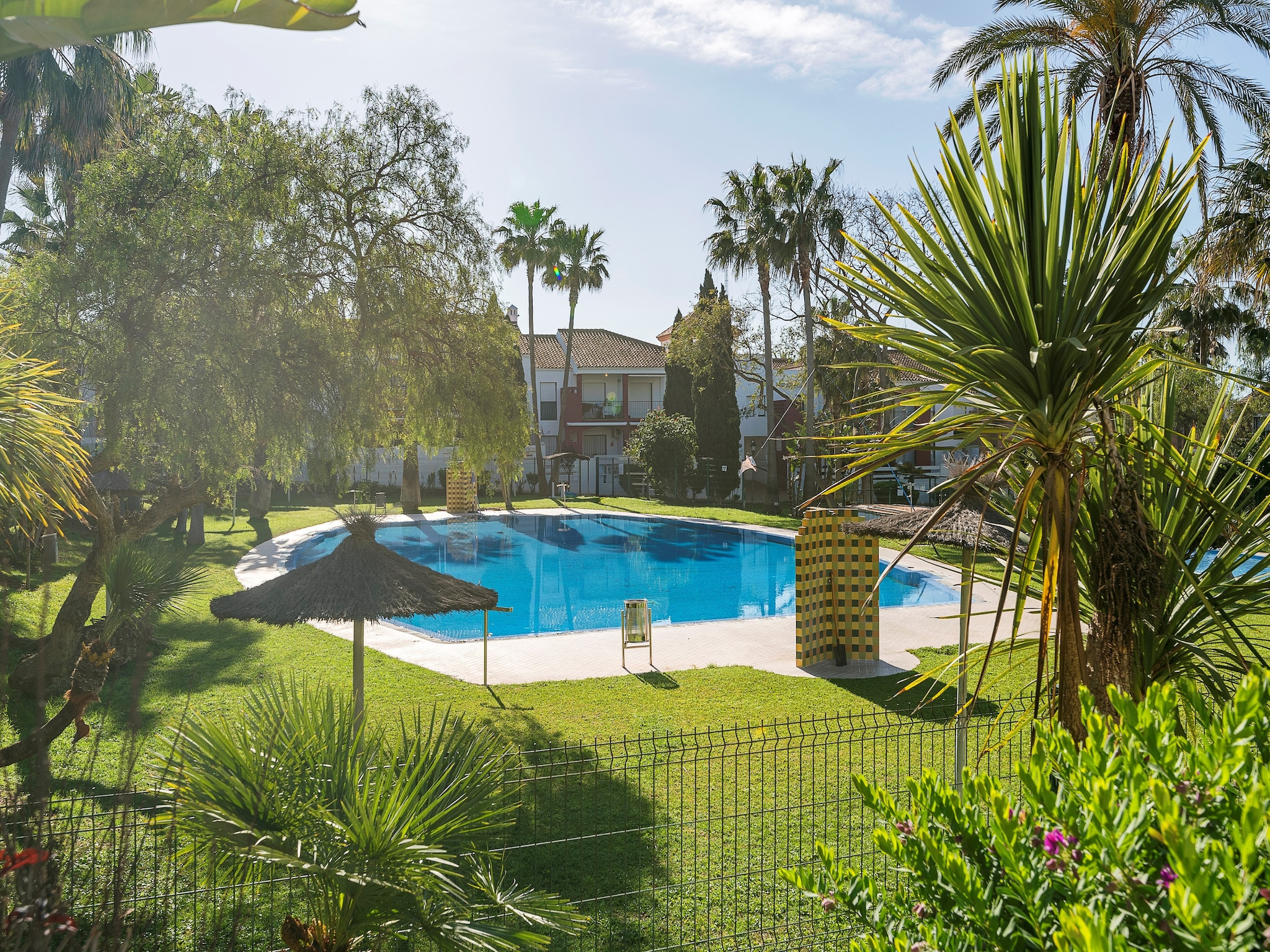   Oasis Playero