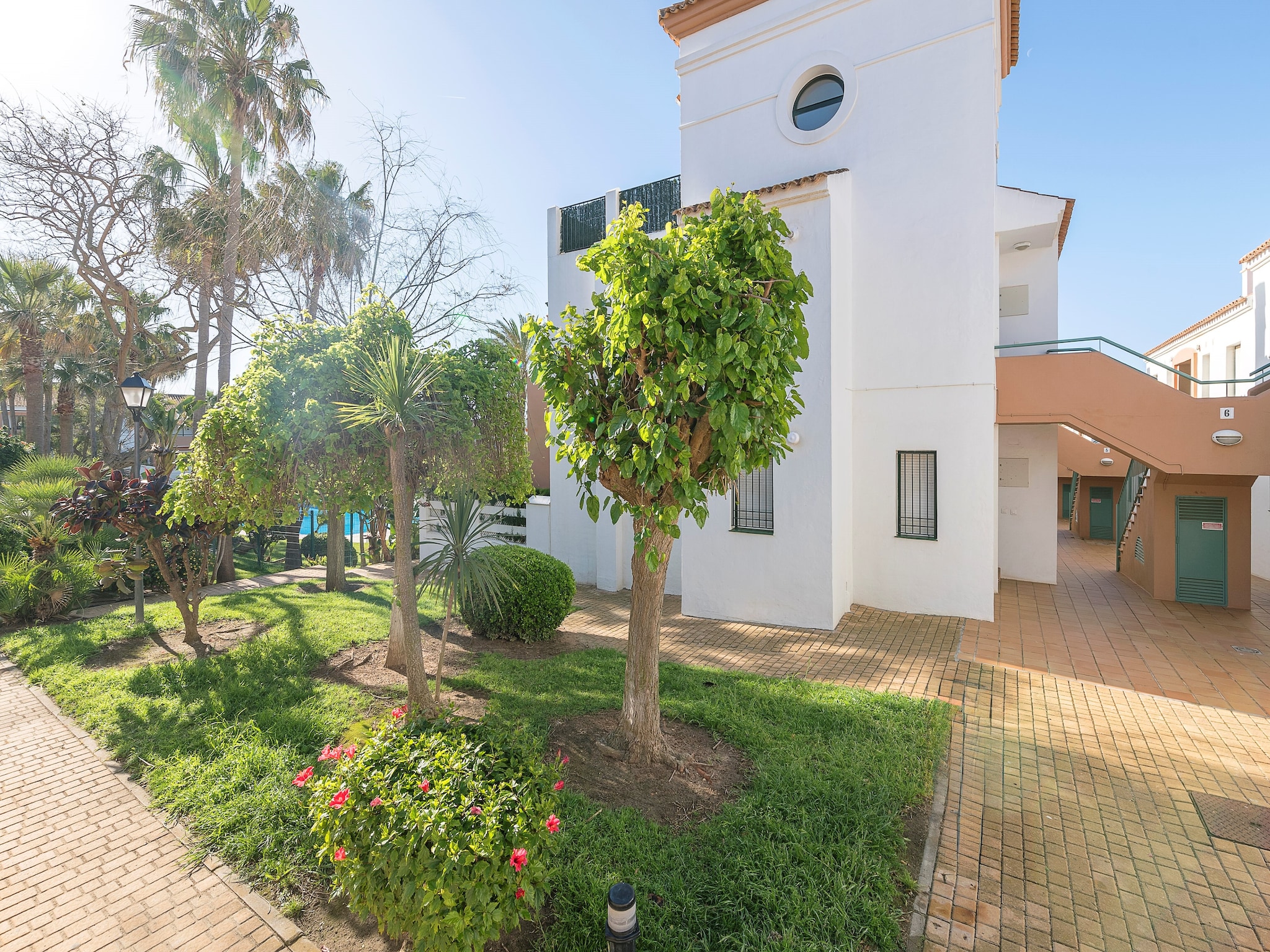   Oasis Playero