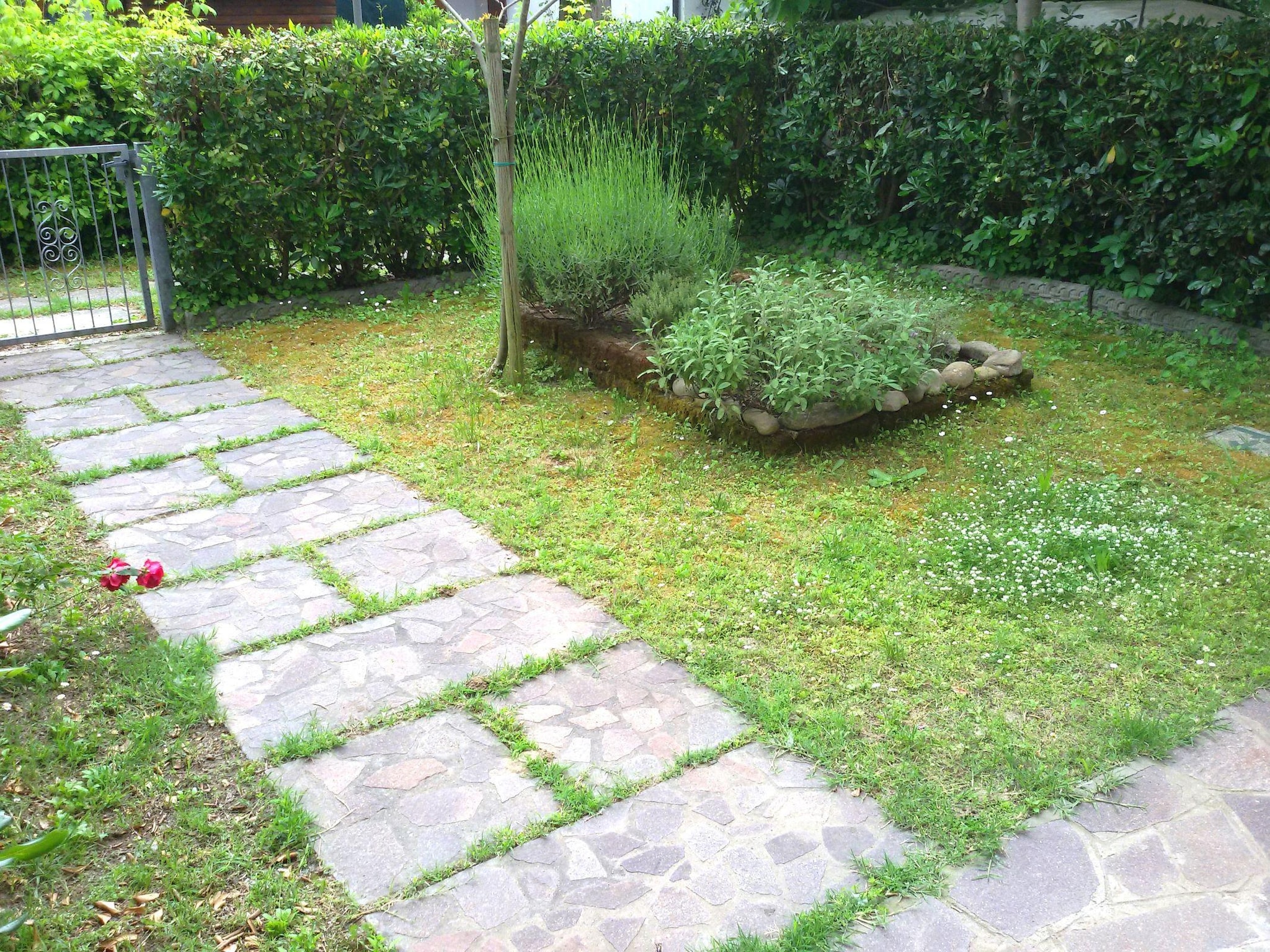 Leilighet Villa Cavina