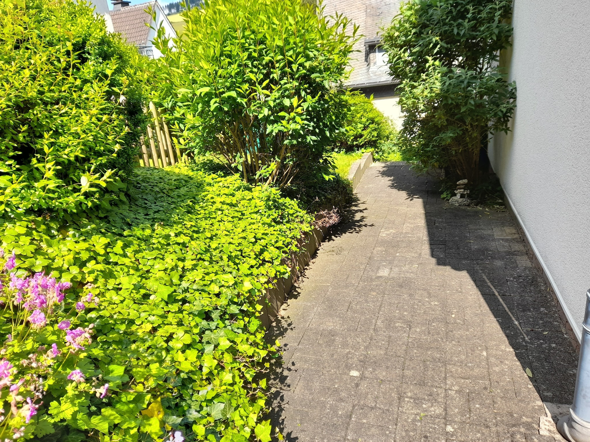 Ferienwohnung Ferienwohnung am Wald