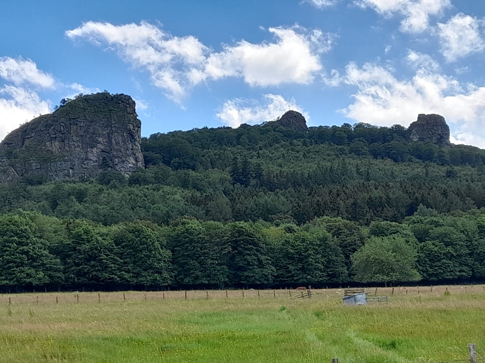 Ferienwohnung Ferienwohnung am Wald