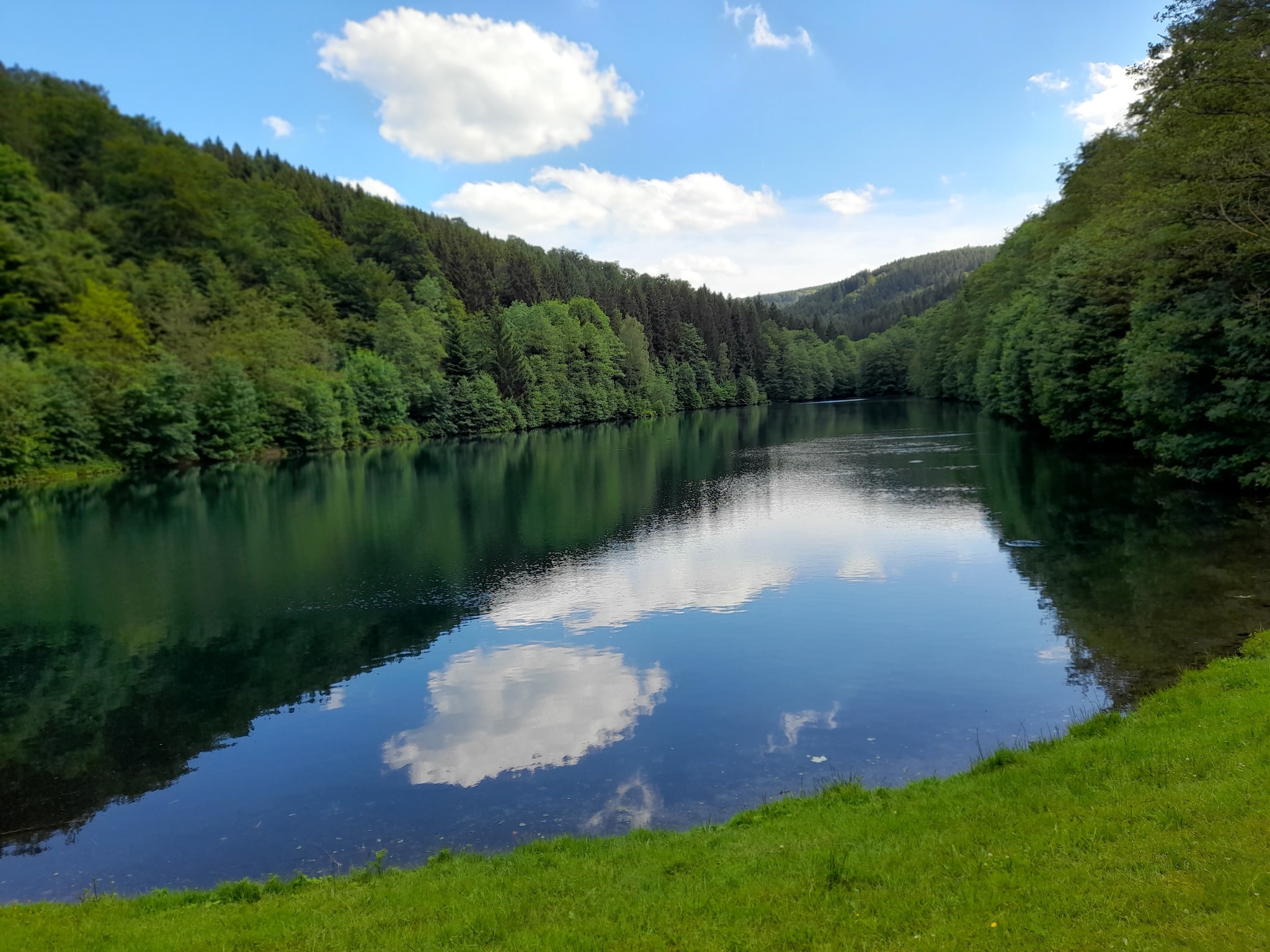 Ferienwohnung Ferienwohnung am Wald