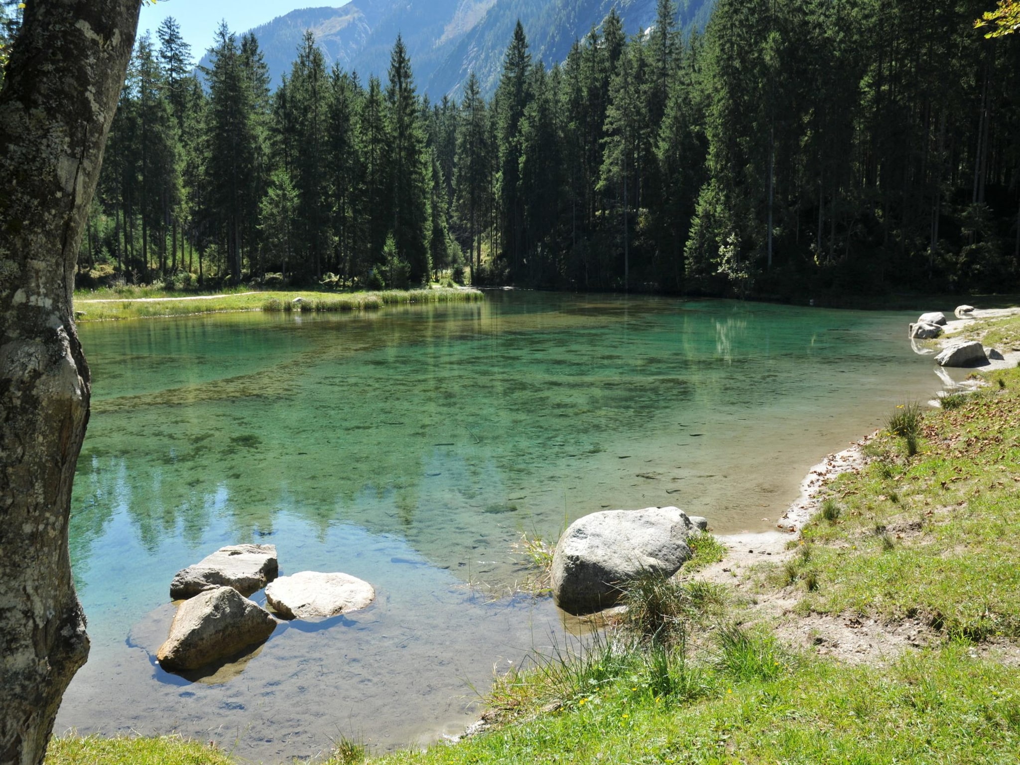 Ferienwohnung Residenz Wildkogelbahnen Top 6