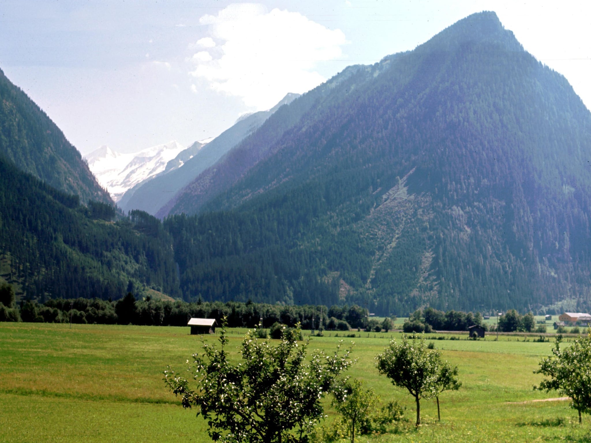 Ferienwohnung Residenz Wildkogelbahnen Top 6
