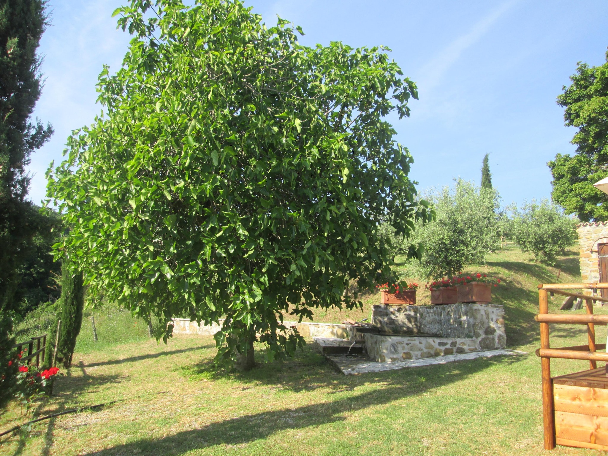 Casa di vacanze Villa Cielo di stelle