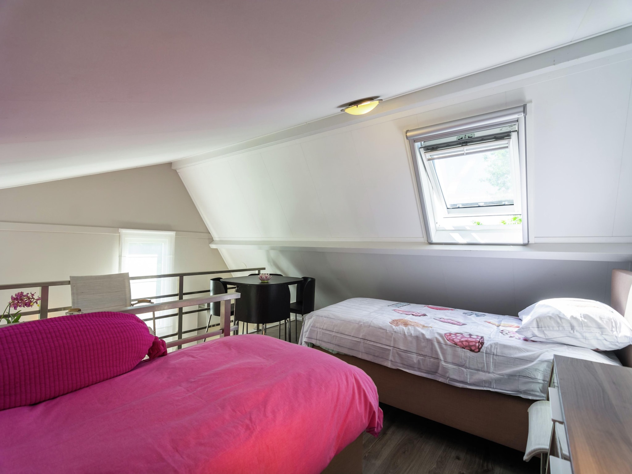   Cosy Oosterschelde