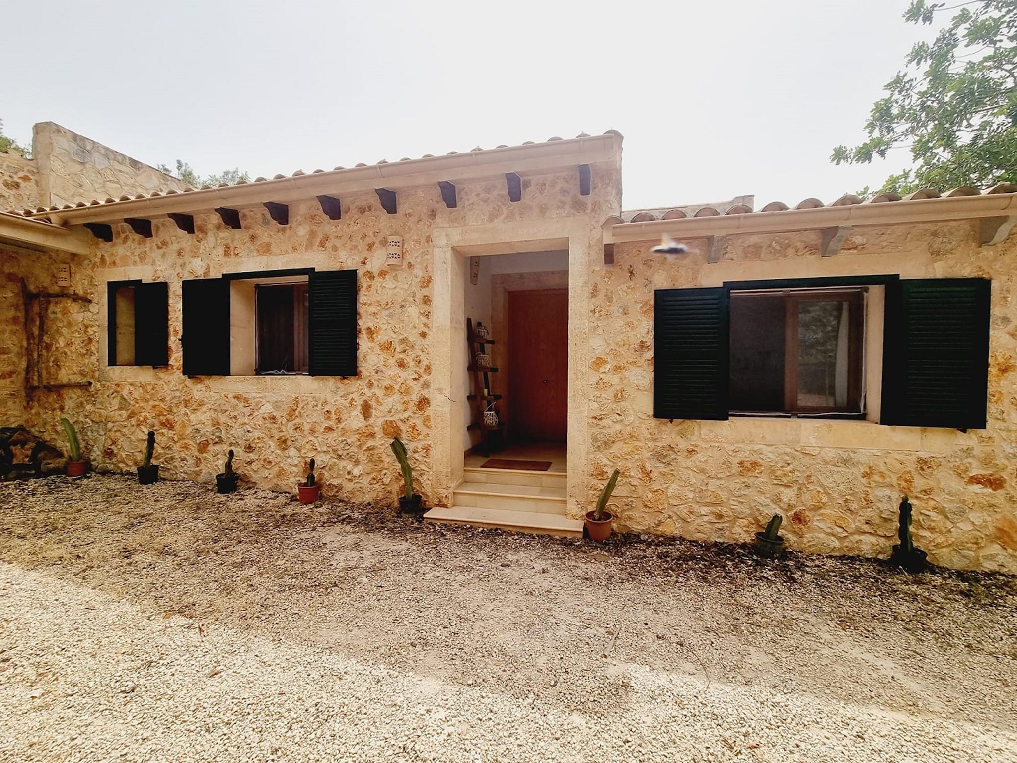 Holiday home Villa Sa Palmera - Salzinas