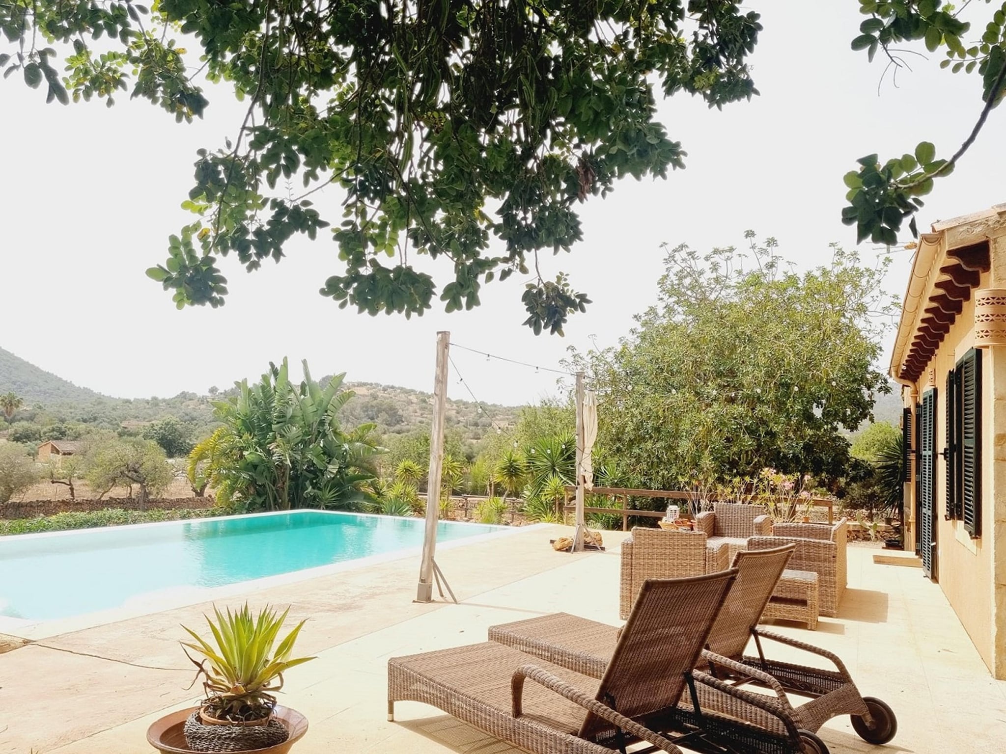 Holiday home Villa Sa Palmera - Salzinas