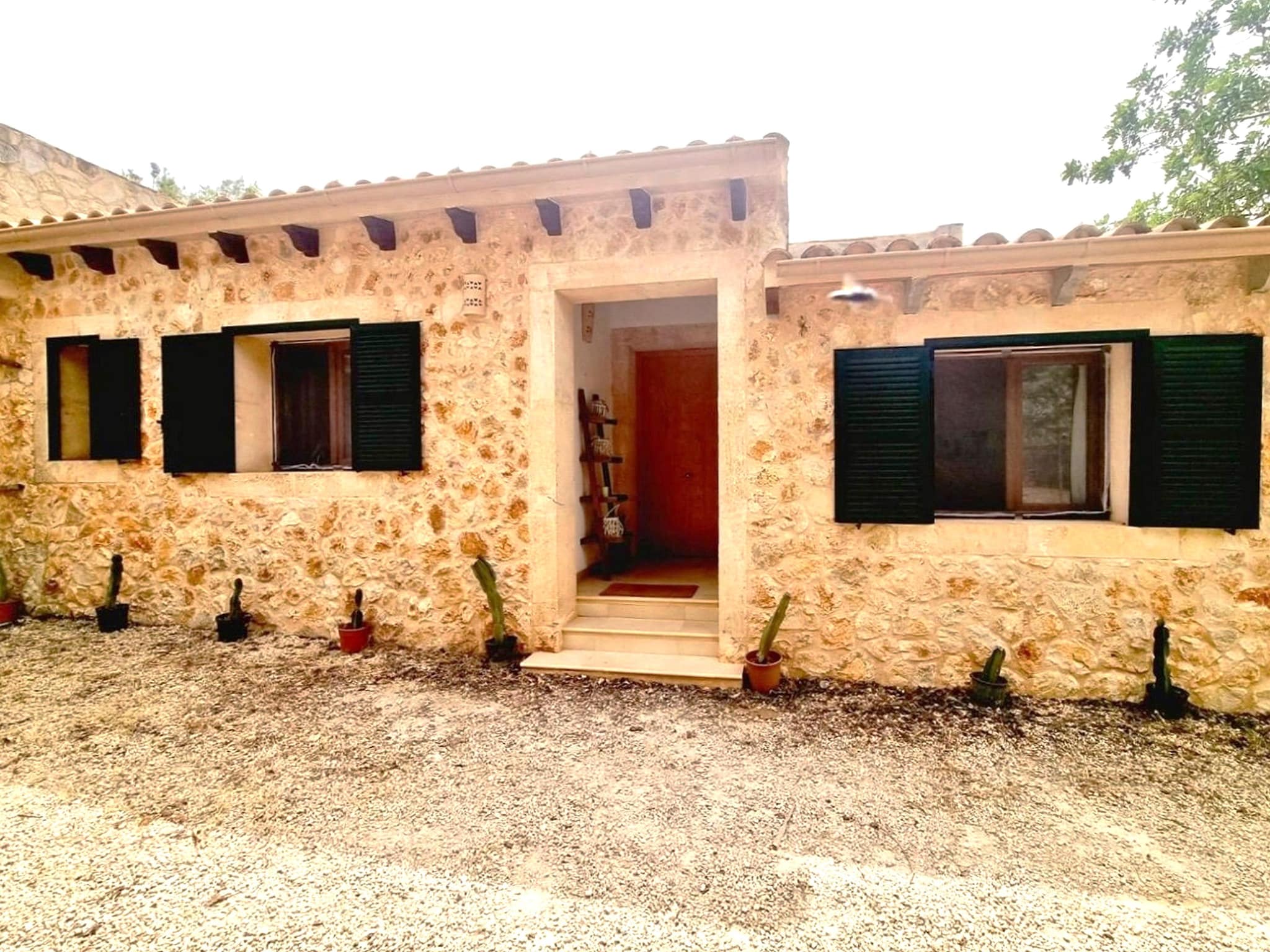 Holiday home Villa Sa Palmera - Salzinas