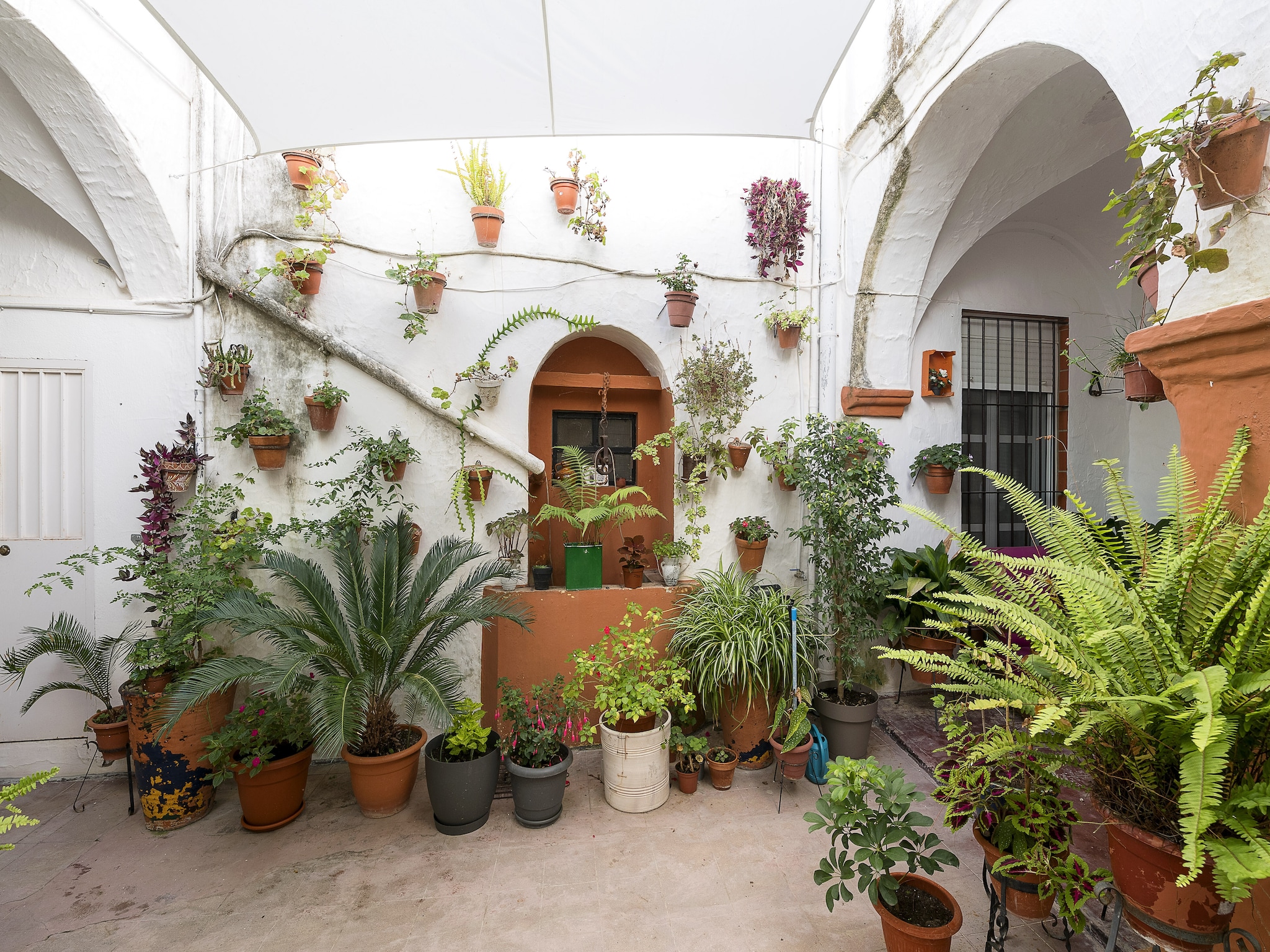   Casa Cuna