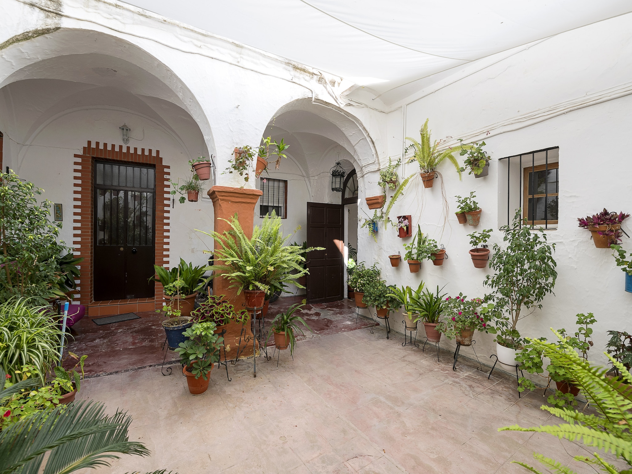   Casa Cuna