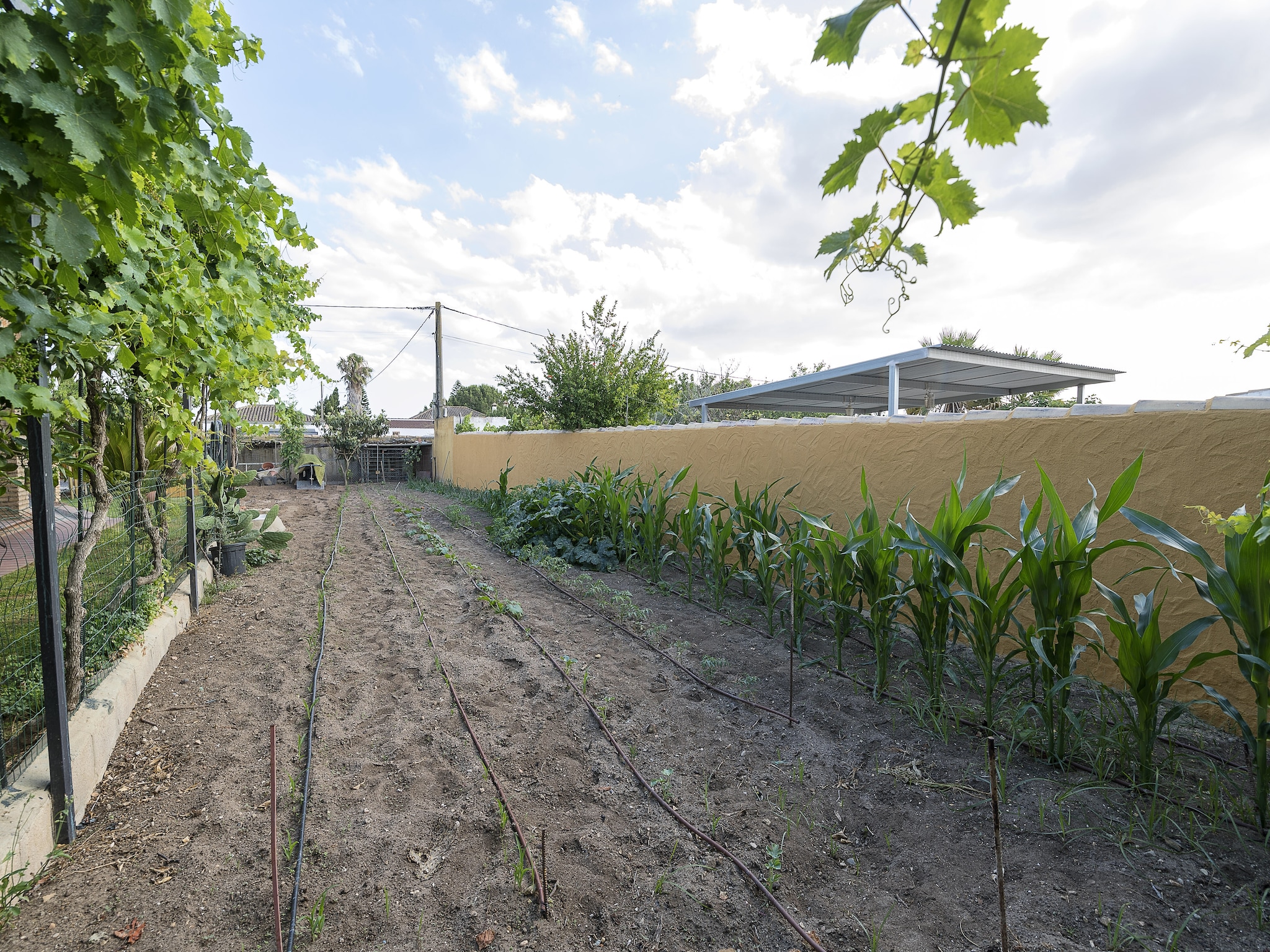 Ferienhaus Rincon De La Huerta