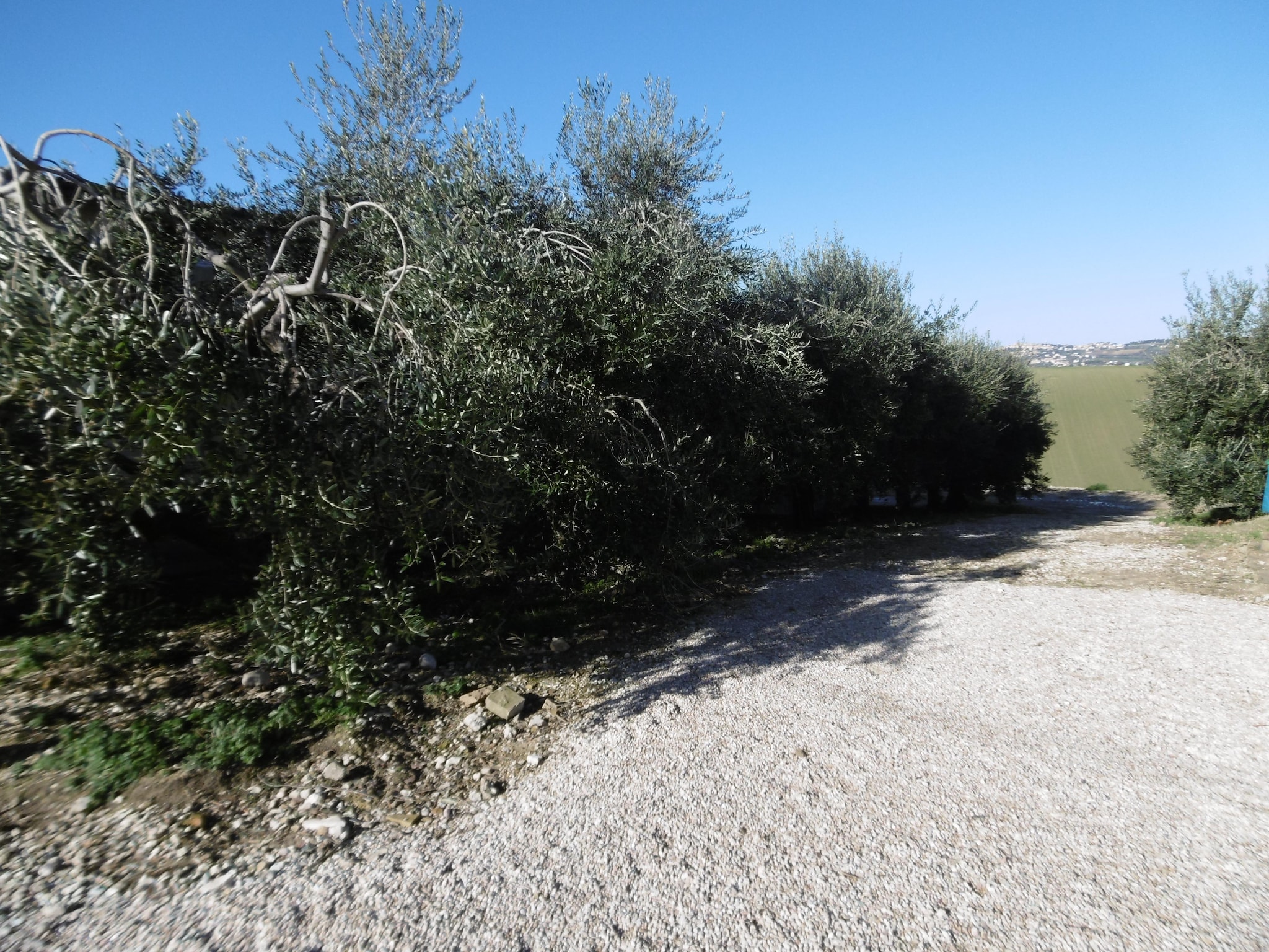 Appartement Olio