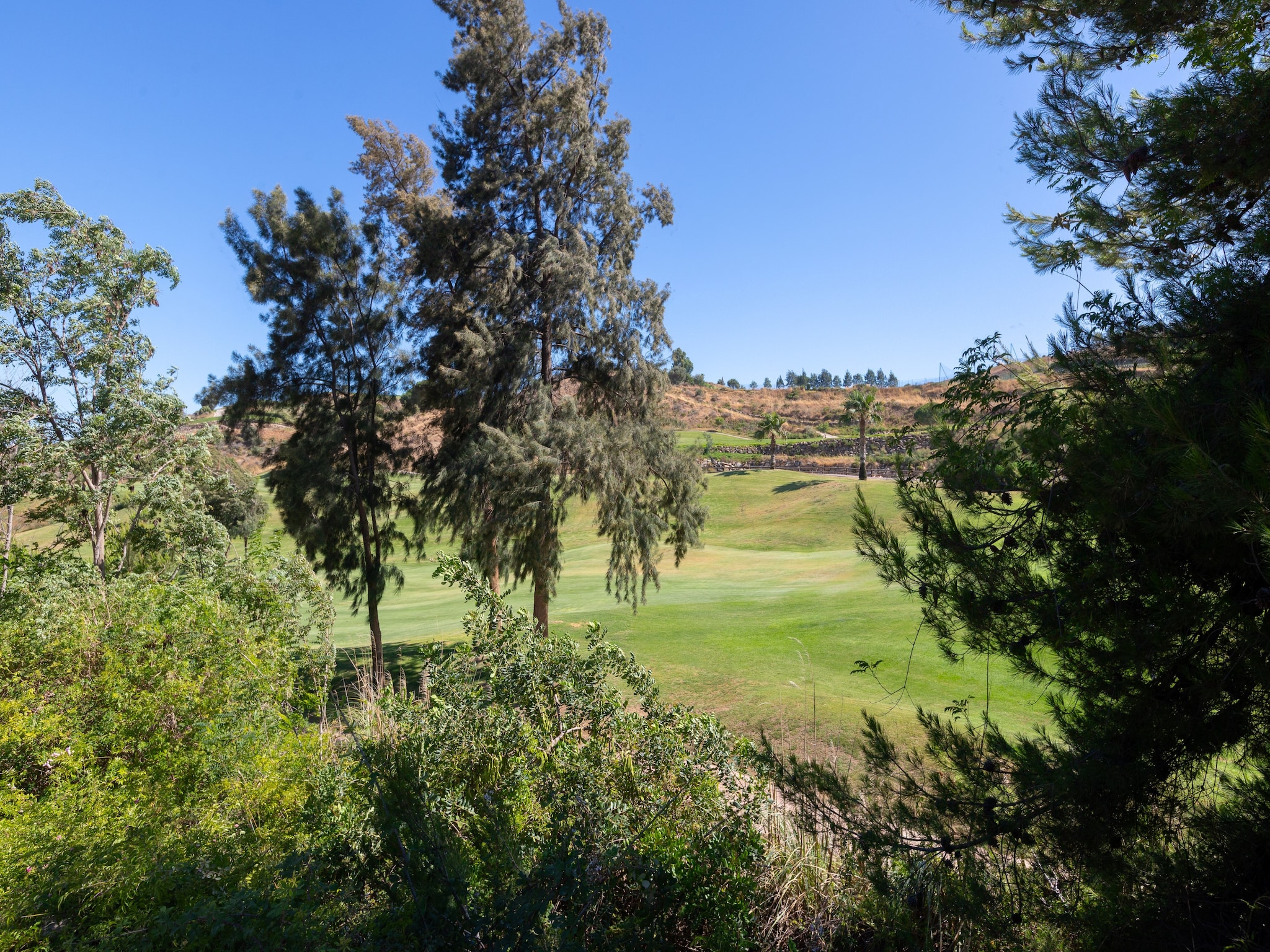   Calanova Grand Golf