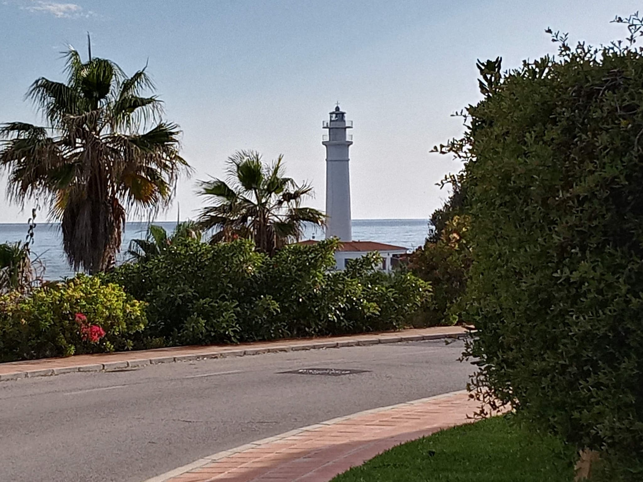   Rincon Tropical