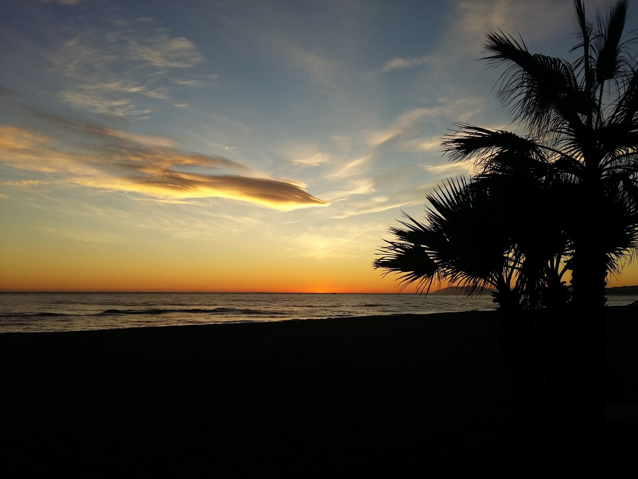   Rincon Tropical