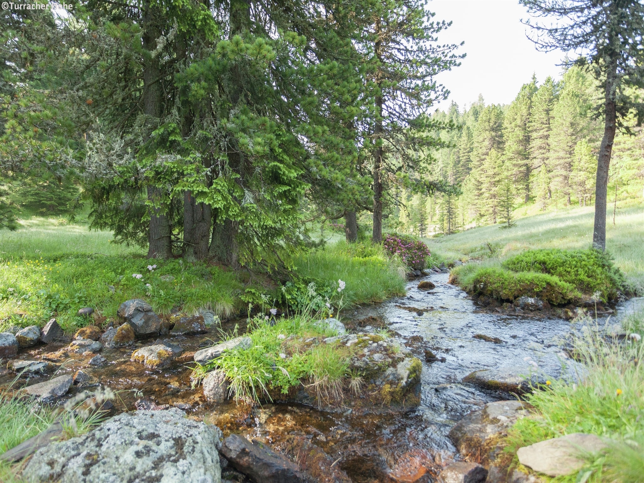Ferienwohnung Alpenpark Turrach App4