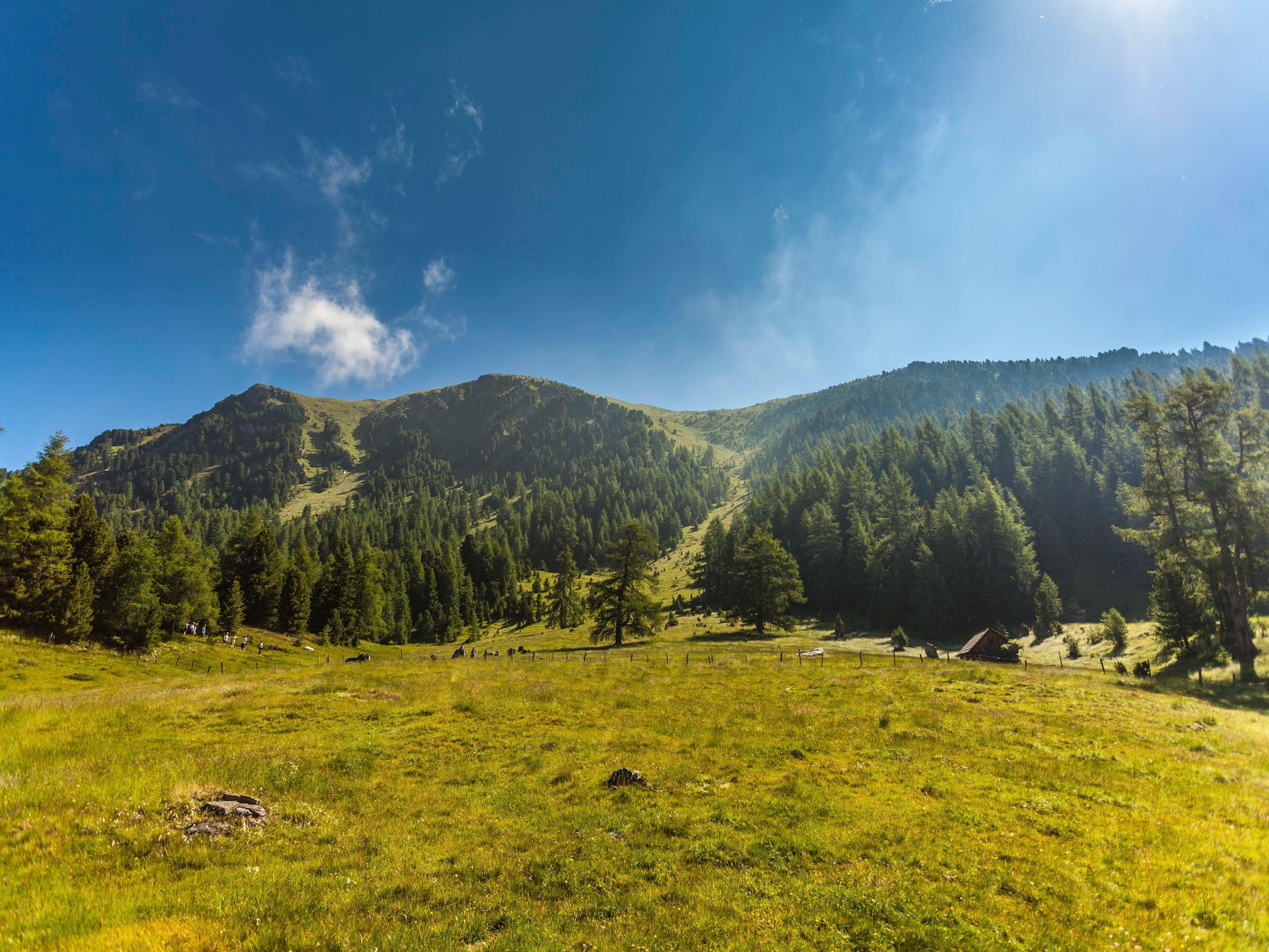 Ferienhaus Alpenpark Turrach 4