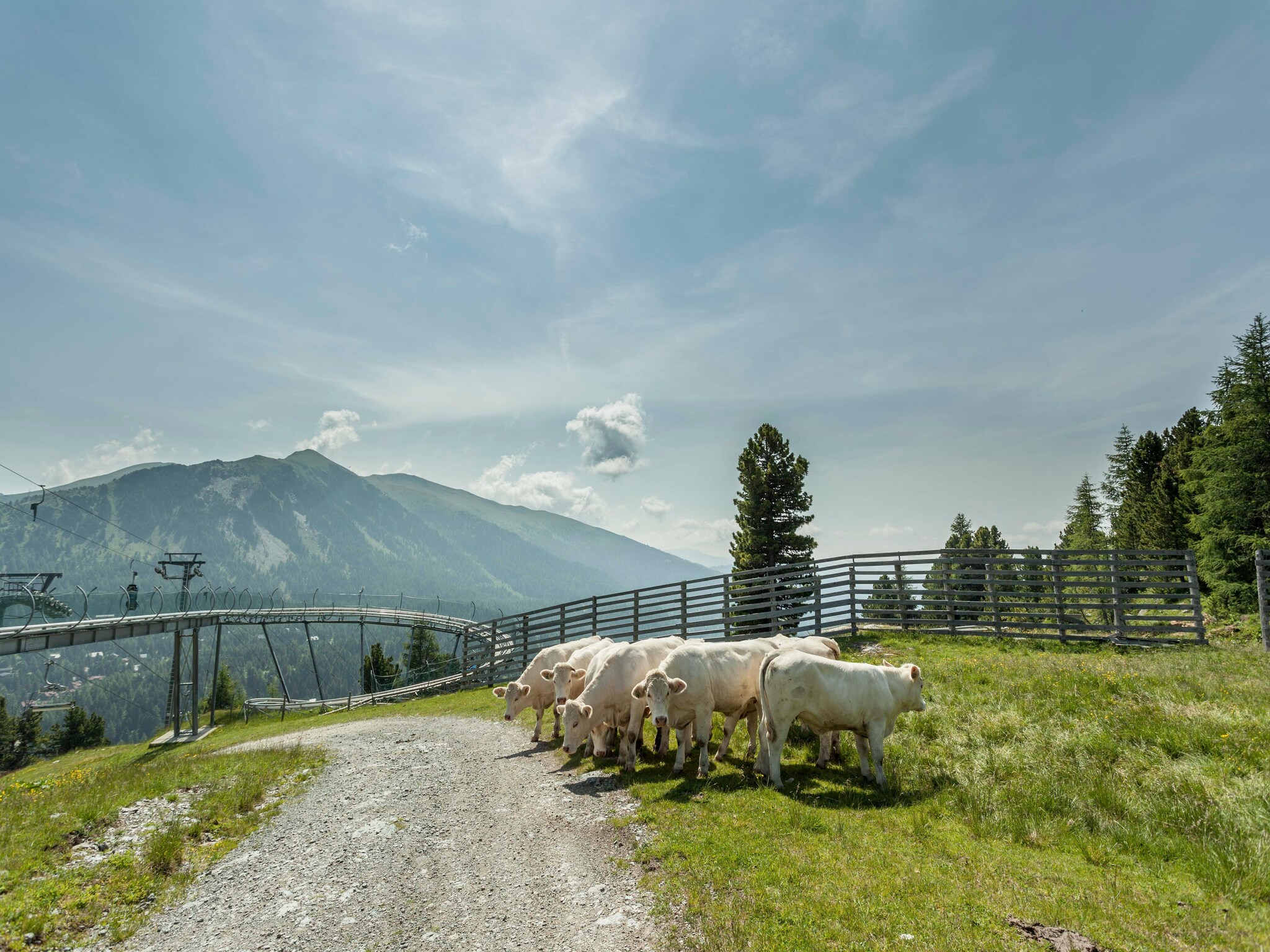 Ferienhaus Alpenpark Turrach 5