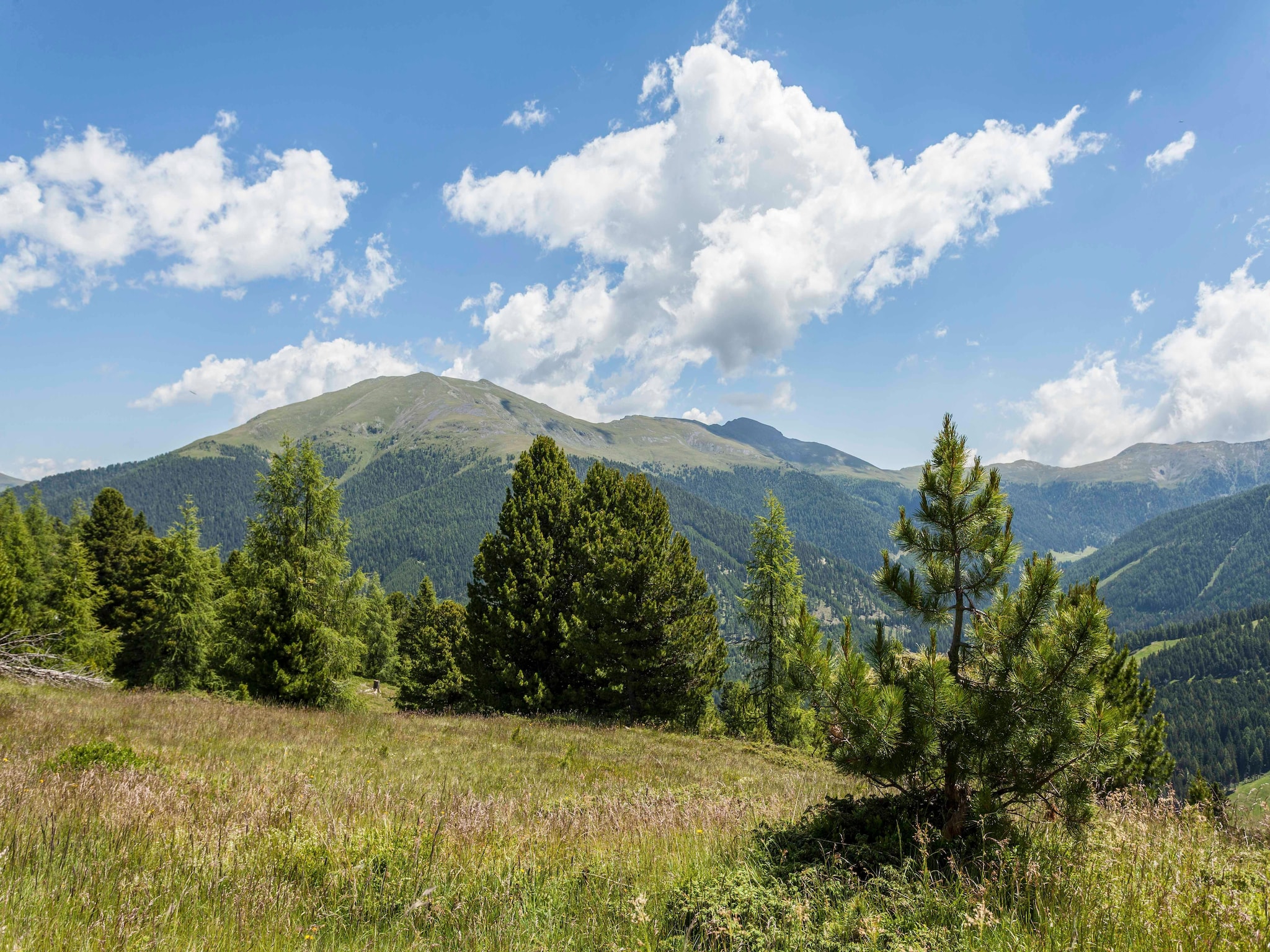 Ferienhaus Alpenpark Turrach 7