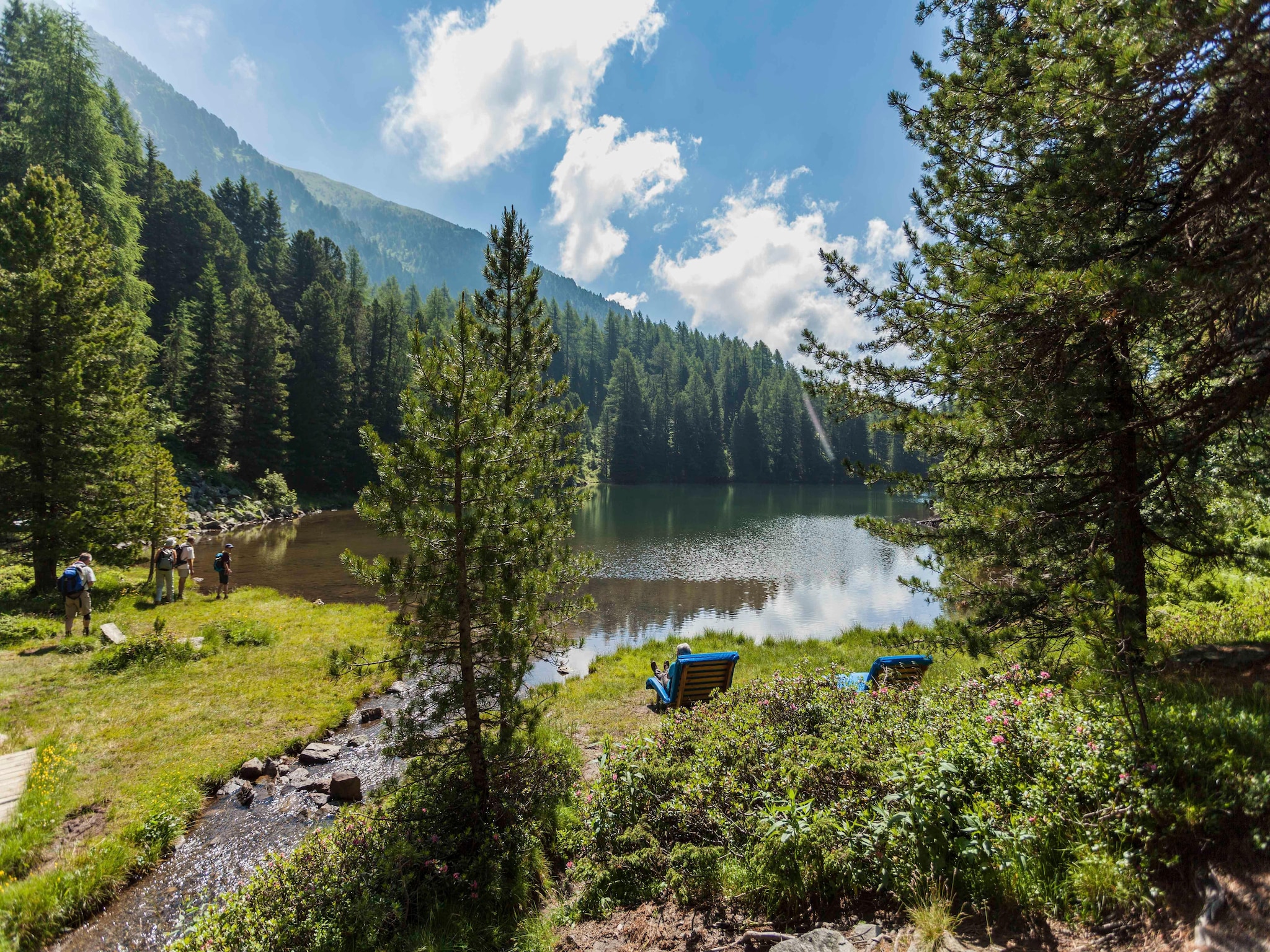 Ferienhaus Alpenpark Turrach 26