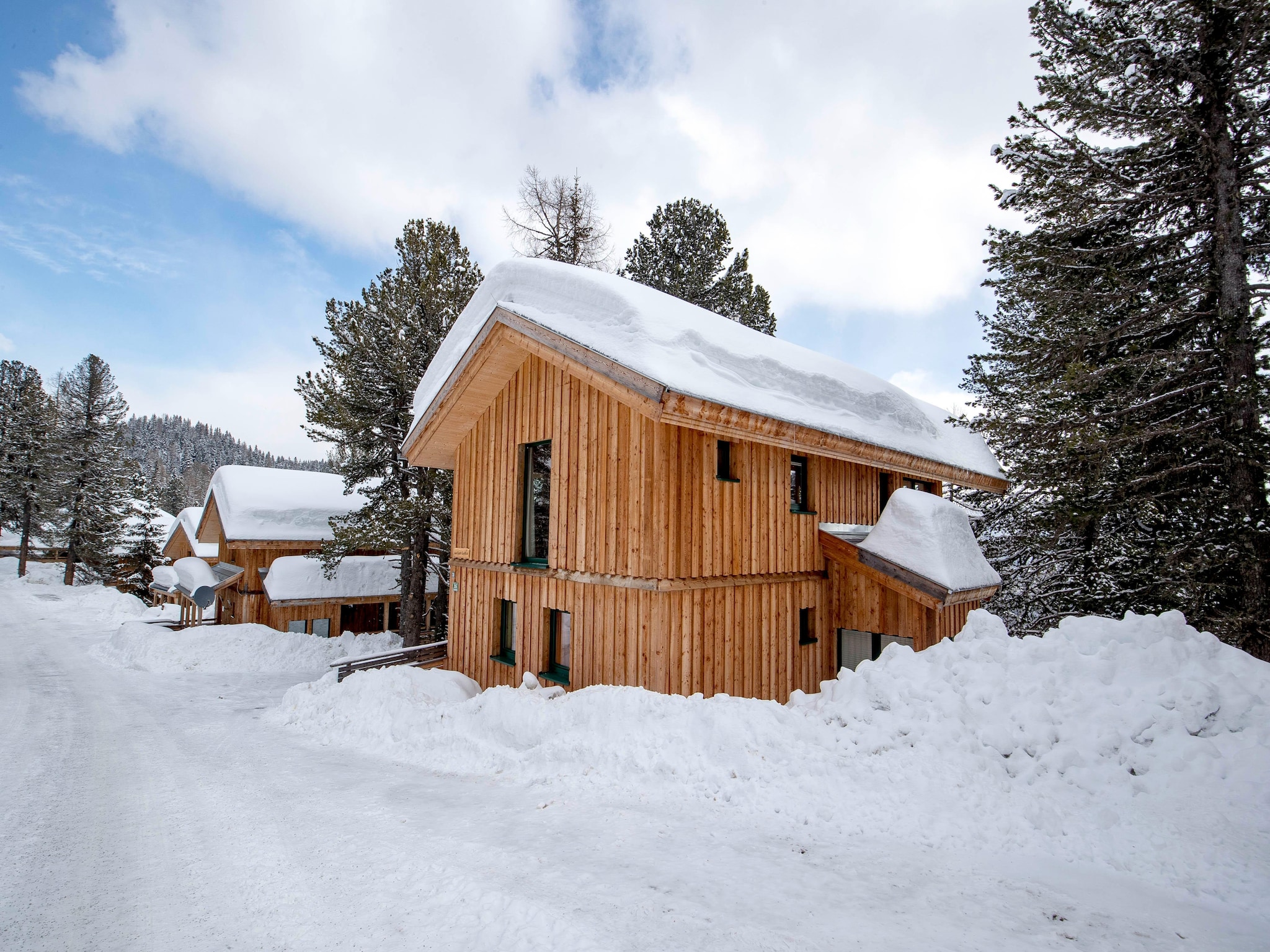 Ferienhaus Alpenpark Turrach 28