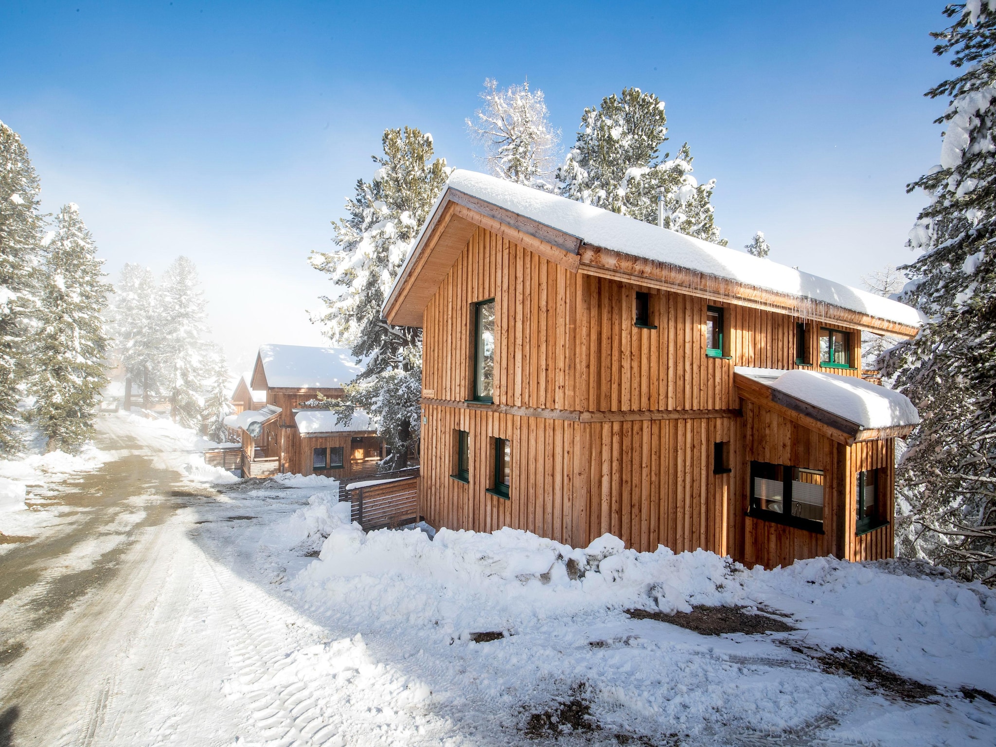 Ferienhaus Alpenpark Turrach 28