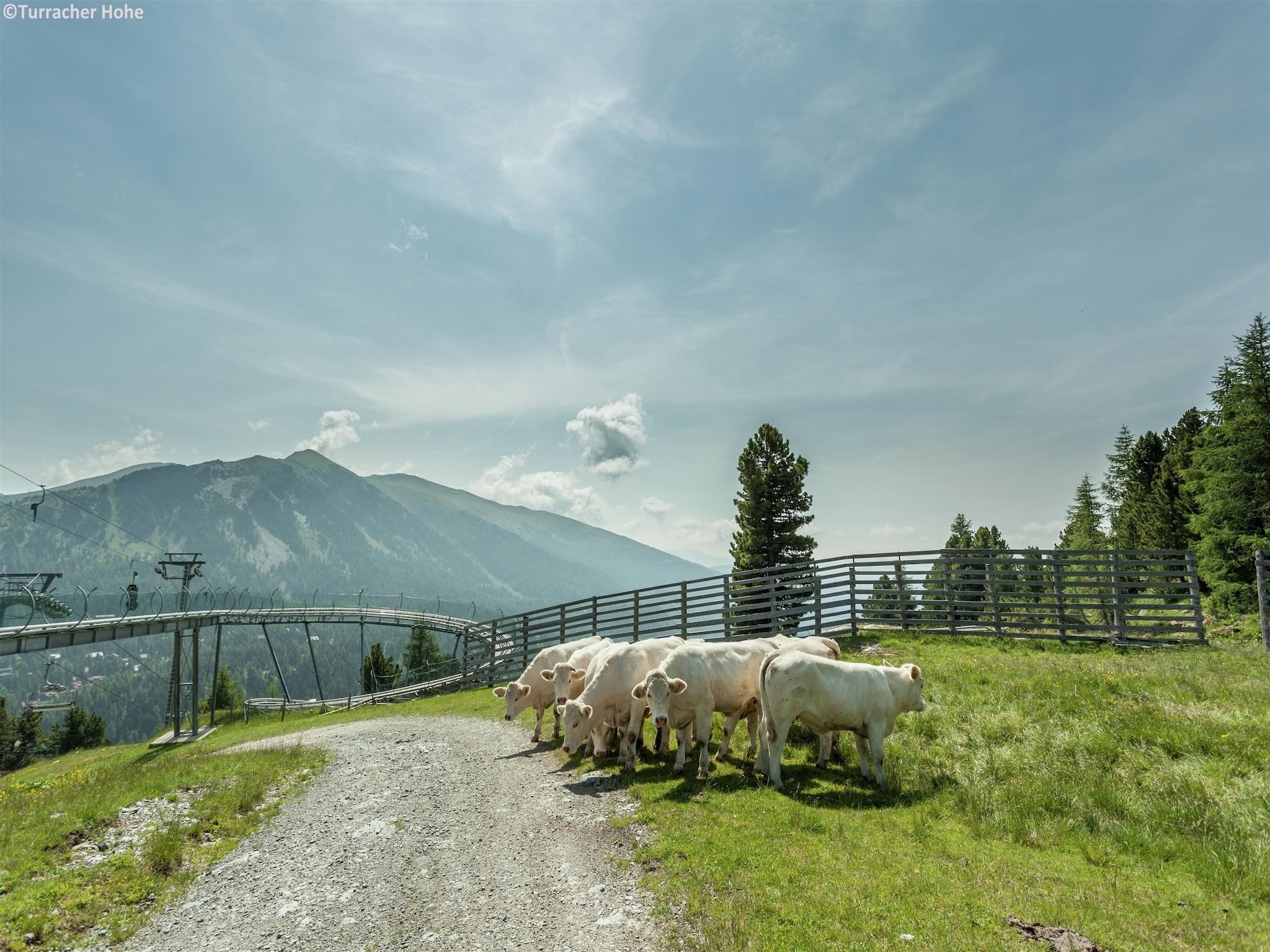 Ferienwohnung Alpenpark Turrach App 7