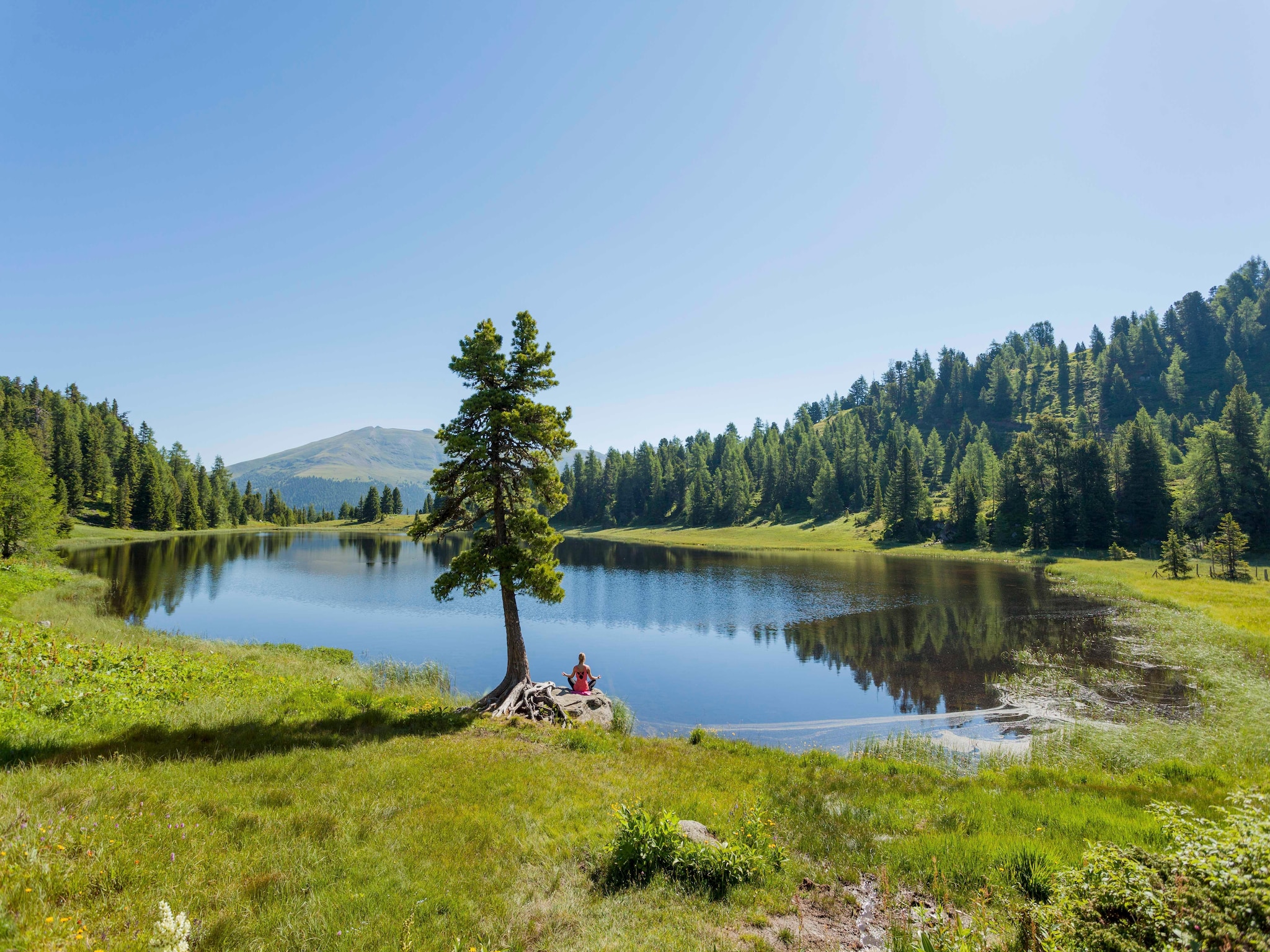 Ferienwohnung Alpenpark Turrach App 7