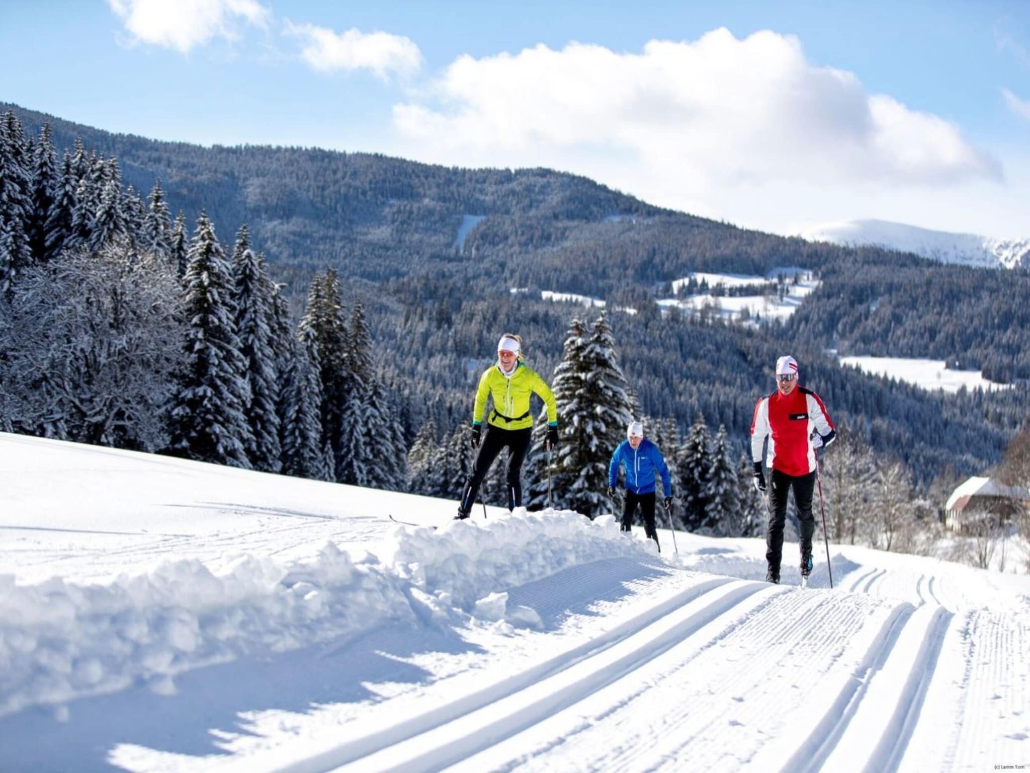 Leilighet Alpenpark Turrach App 10