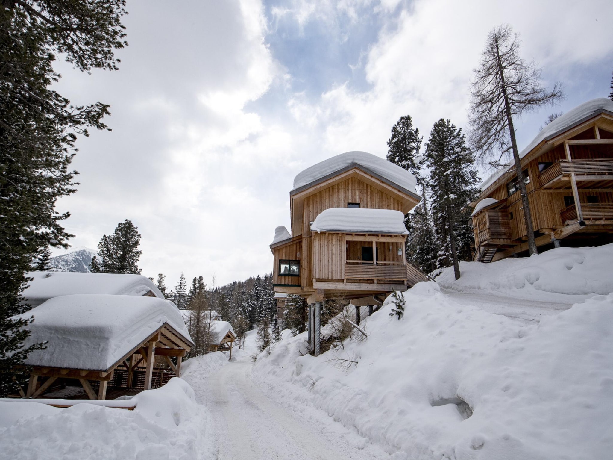 Ferienhaus Alpenpark Turrach 40