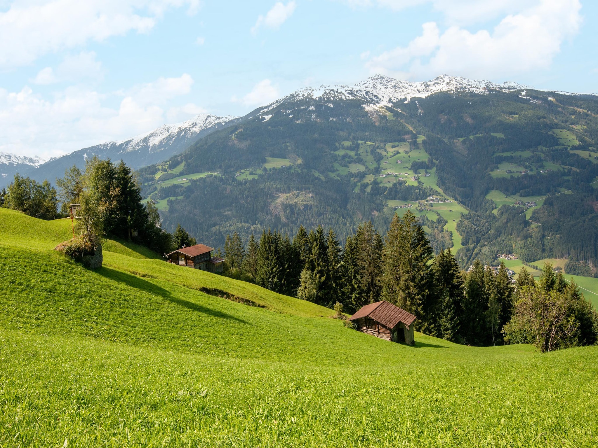 Leilighet Alpblick Apart
