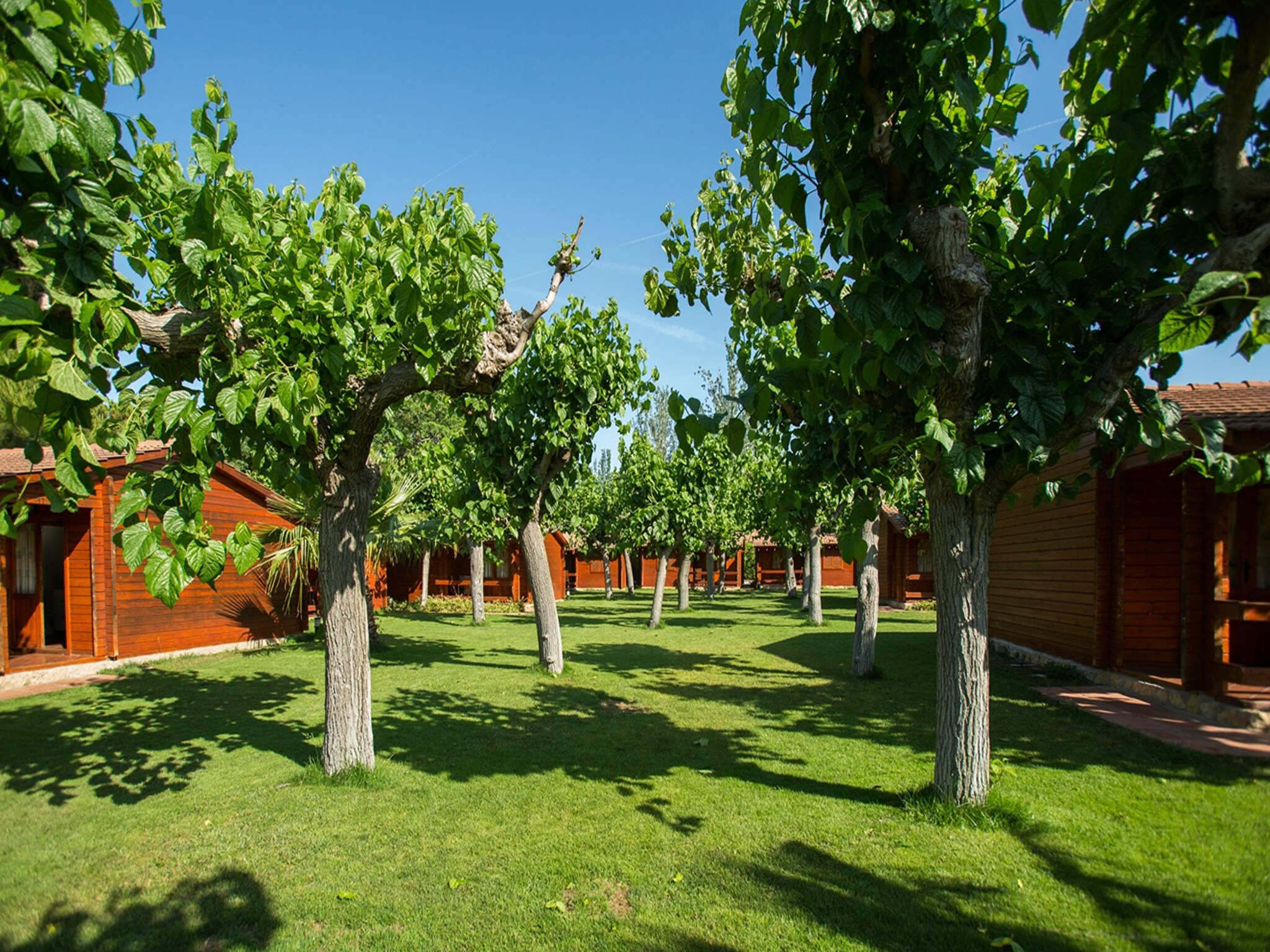 Apartamento La Llosa Mobile Home- Costa Dorada