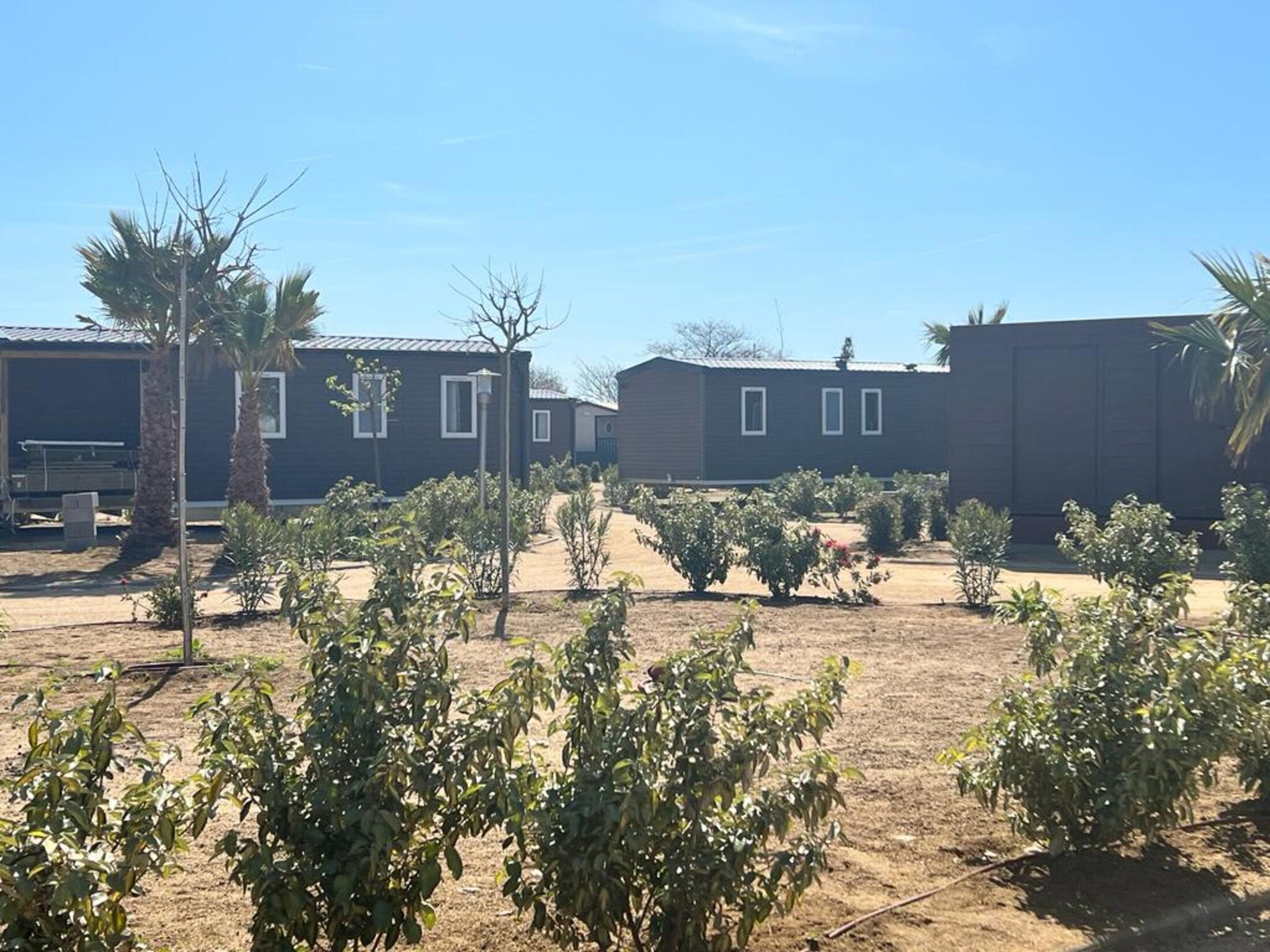   Els Pins- Mobile-Home Premium 3 Nature