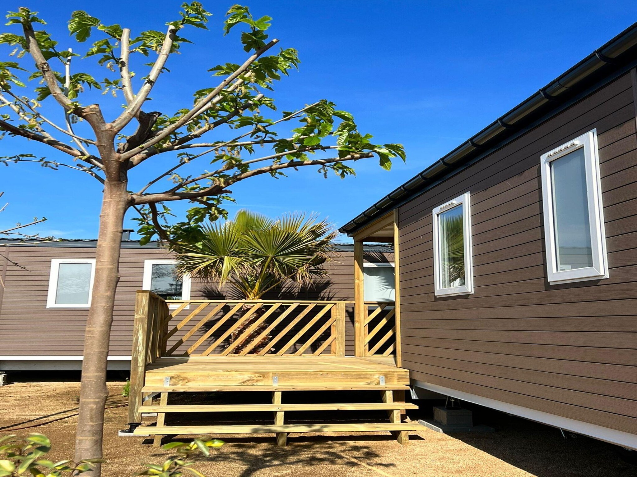   Els Pins- Mobile-Home Premium 3 Nature