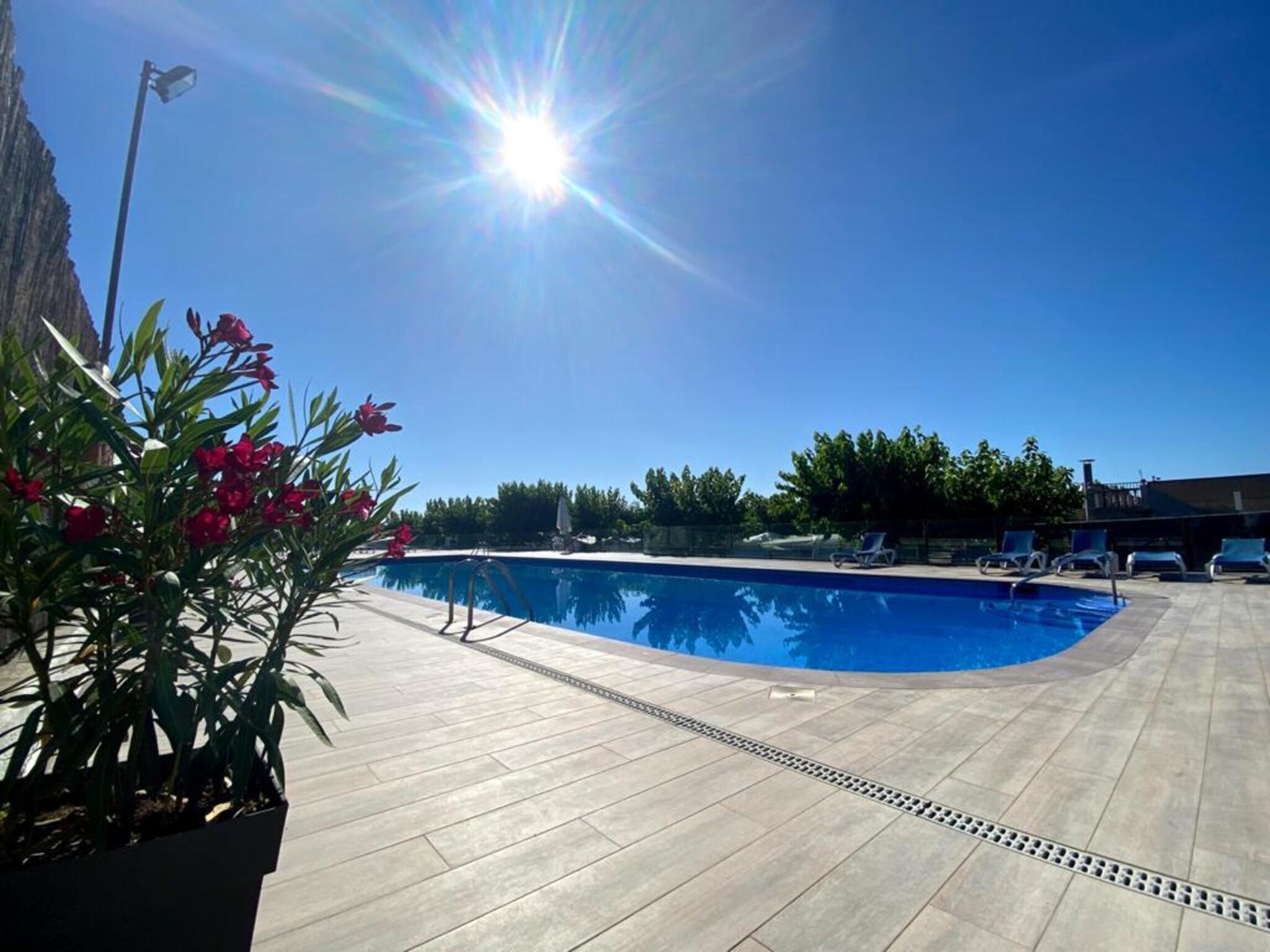   Els Pins- Bungalow Confort