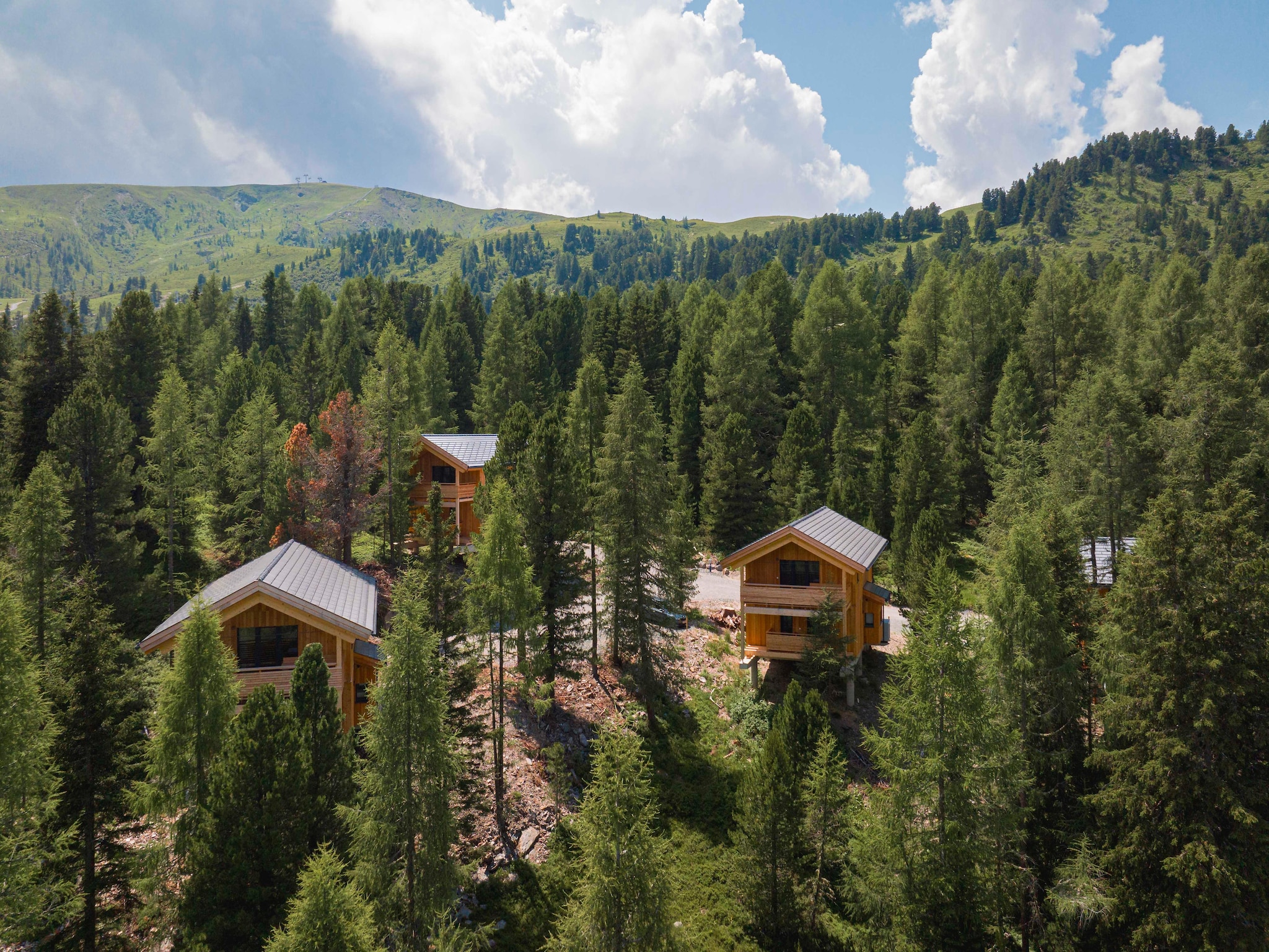 Ferienhaus Naturchalets Turracher Höhe 4