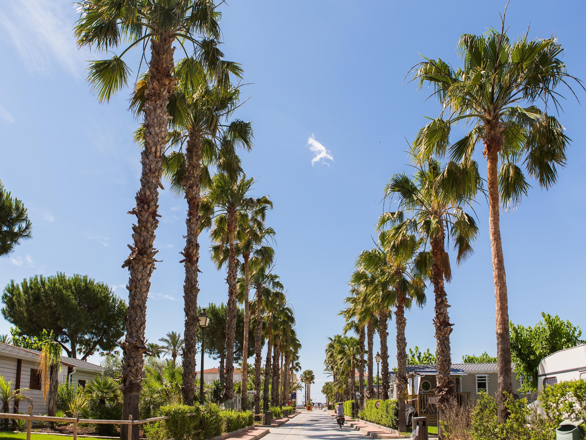   CAMPING ESTIVAL VENDRELL PLATJA  BUNGALOW TROPICAL