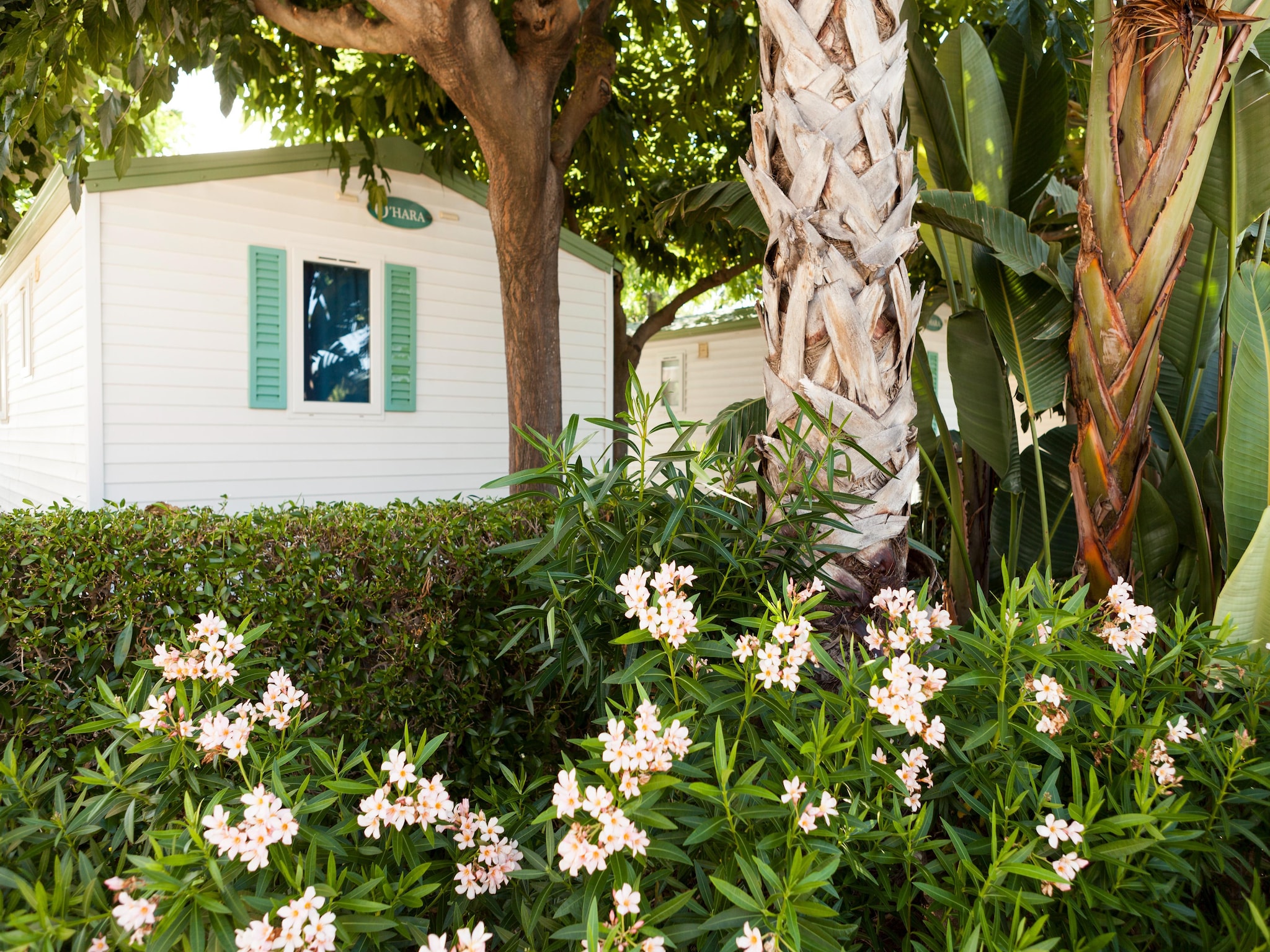  Camping Cambrils Playa BUNGALOW OHARA