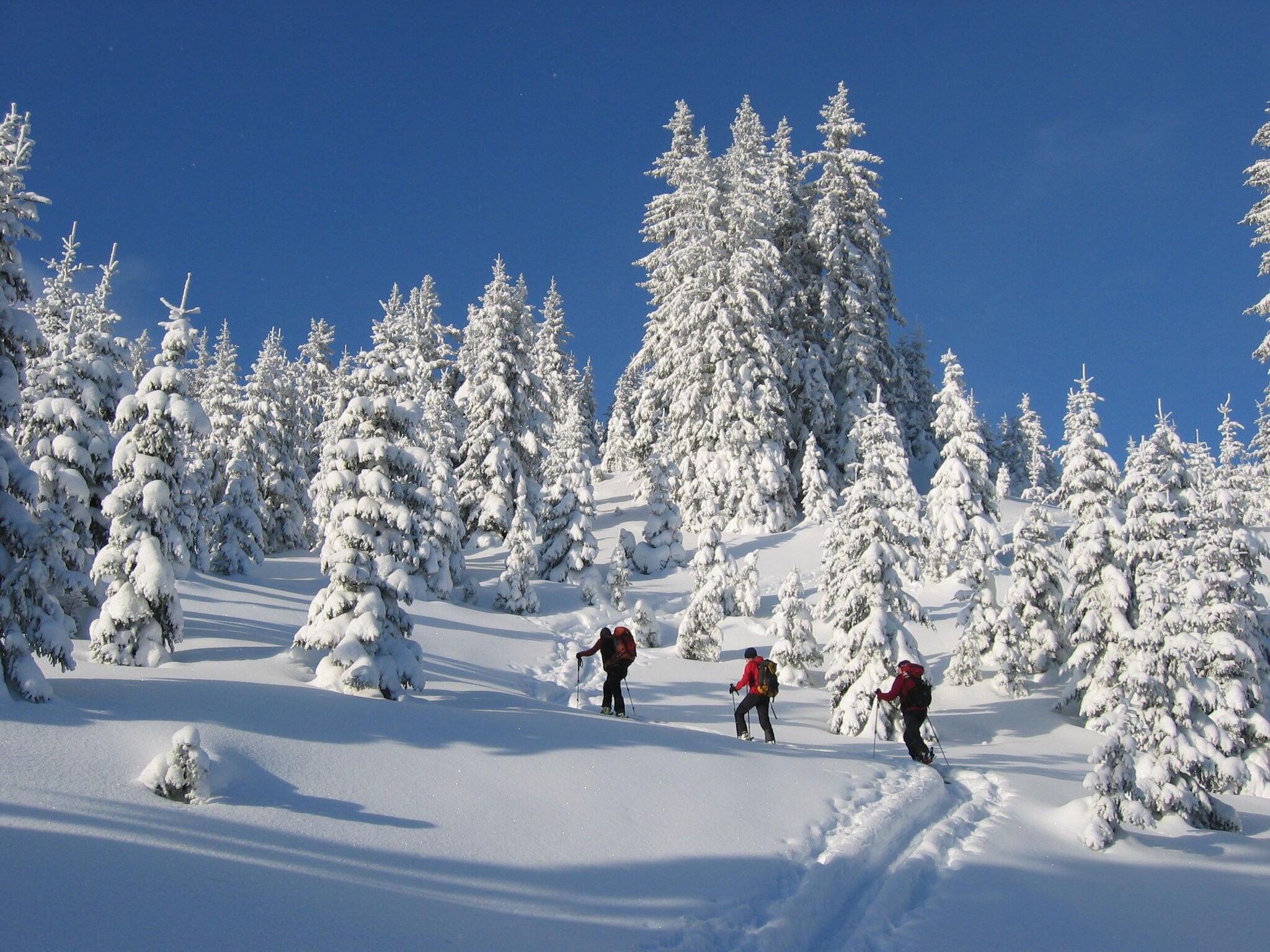 Leilighet Erzberg Alpin Resort  2
