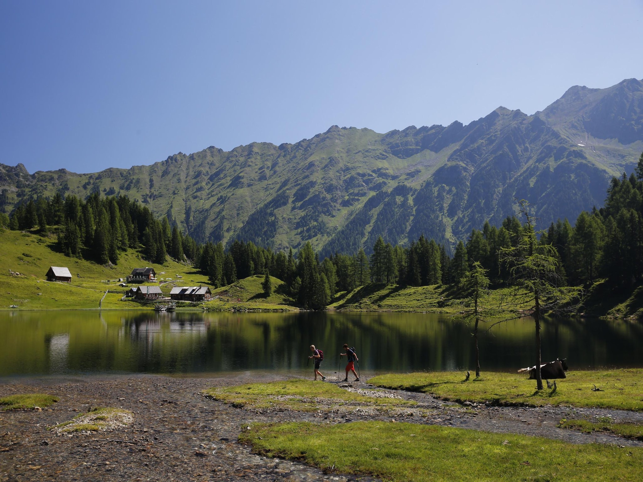 Holiday home Alpenchalets Reiteralm 13
