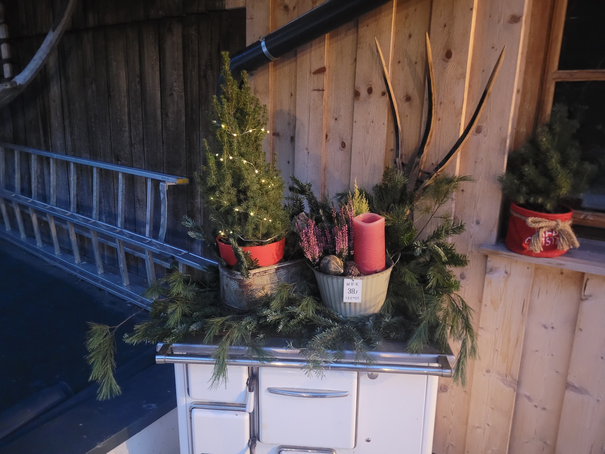 Ferienwohnung Bergliebe & Waldrand