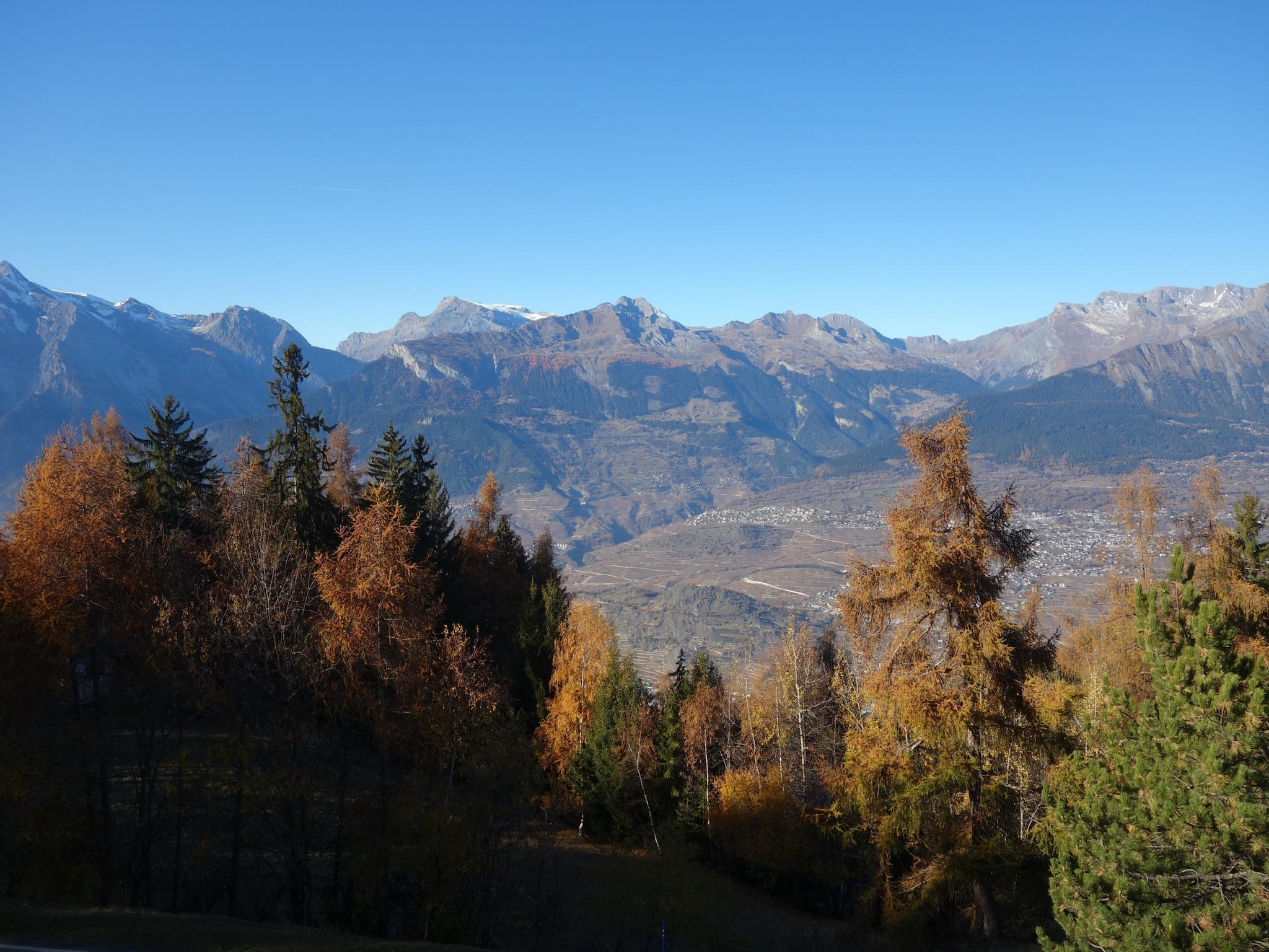 Ferienwohnung Mayens de l'Ours CZ 013 - MOUNTAIN apartment 8 per