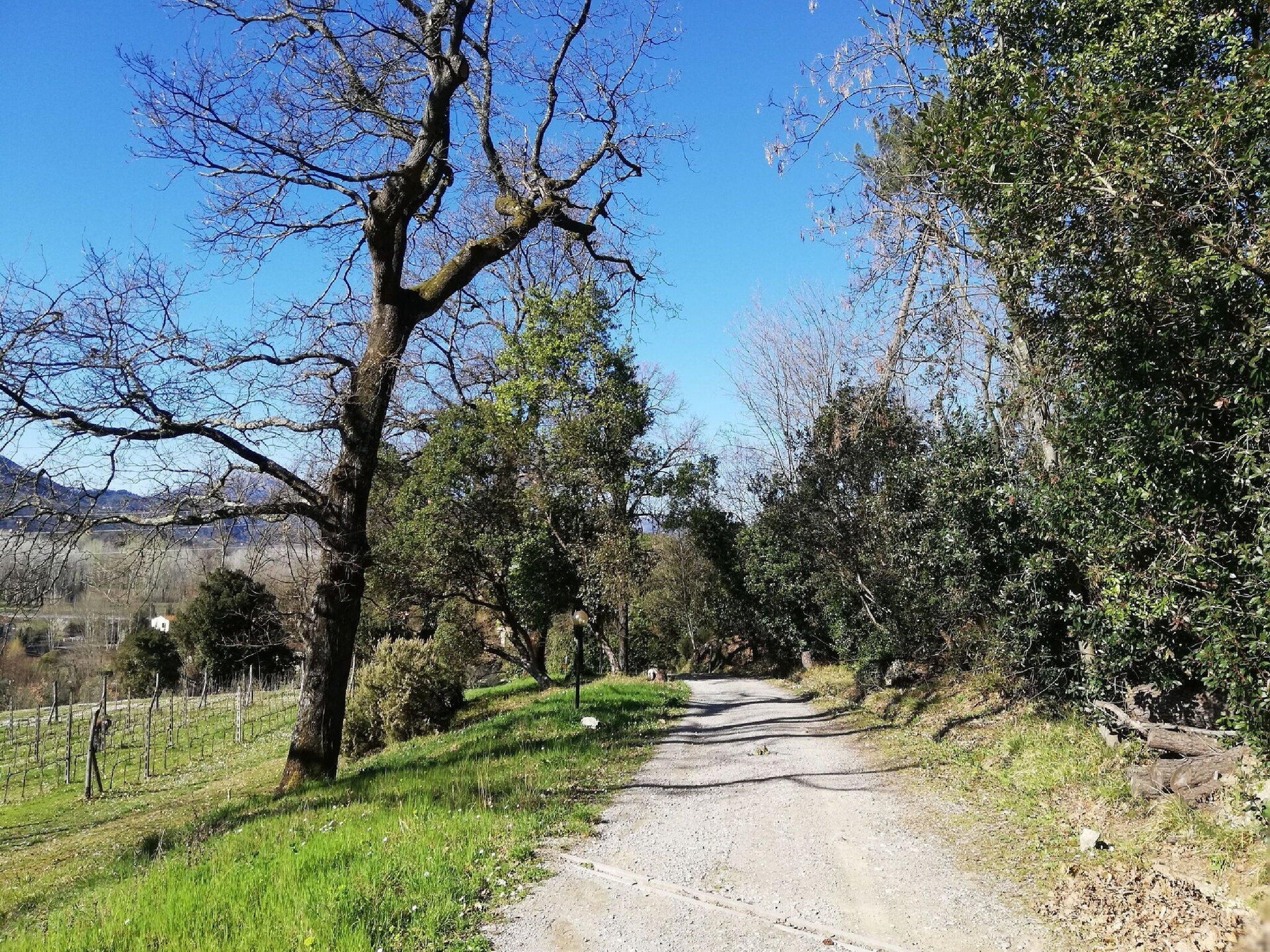 Vacation home Le Piane
