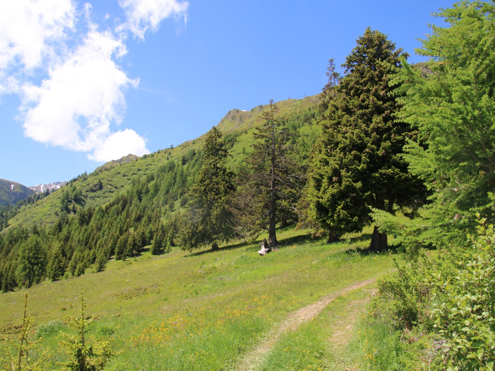Vacation home Paradis Perdu SKI IN & QUIET chalet 14 personnes