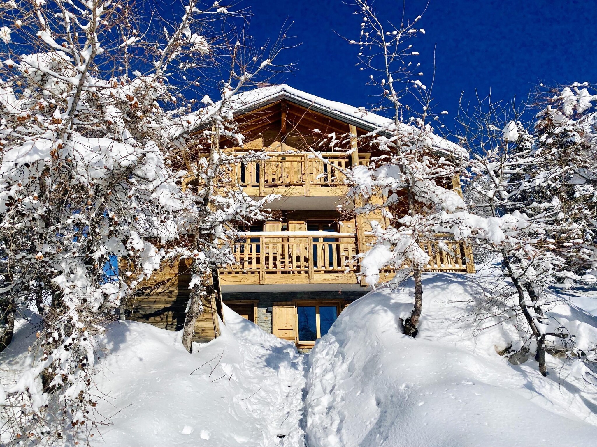 Vacation home Paradis Perdu SKI IN & QUIET chalet 14 personnes