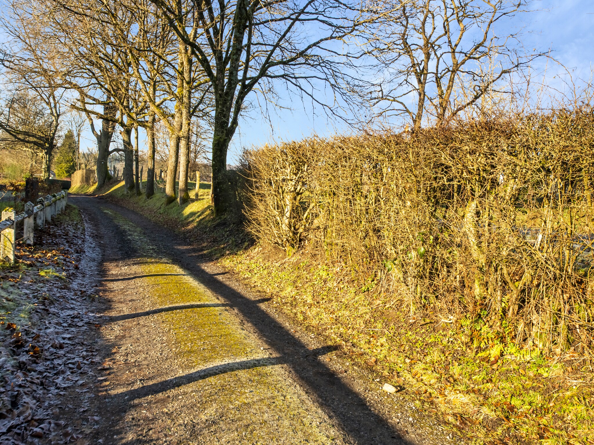   Bois d'Awenne